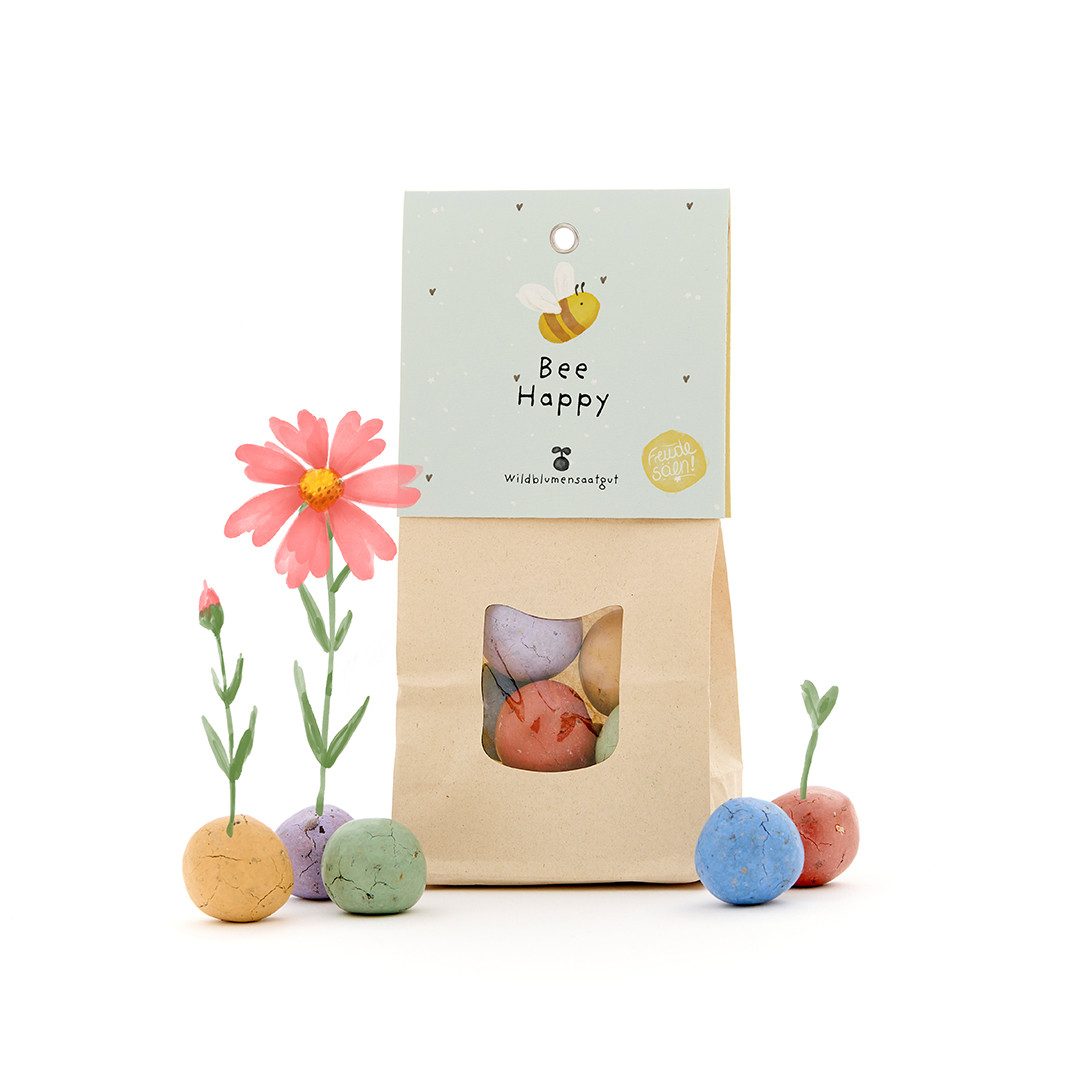 Blumensamen 8 Wildblumen-Saatkugeln mit Bienen Motiv, Geschenkidee