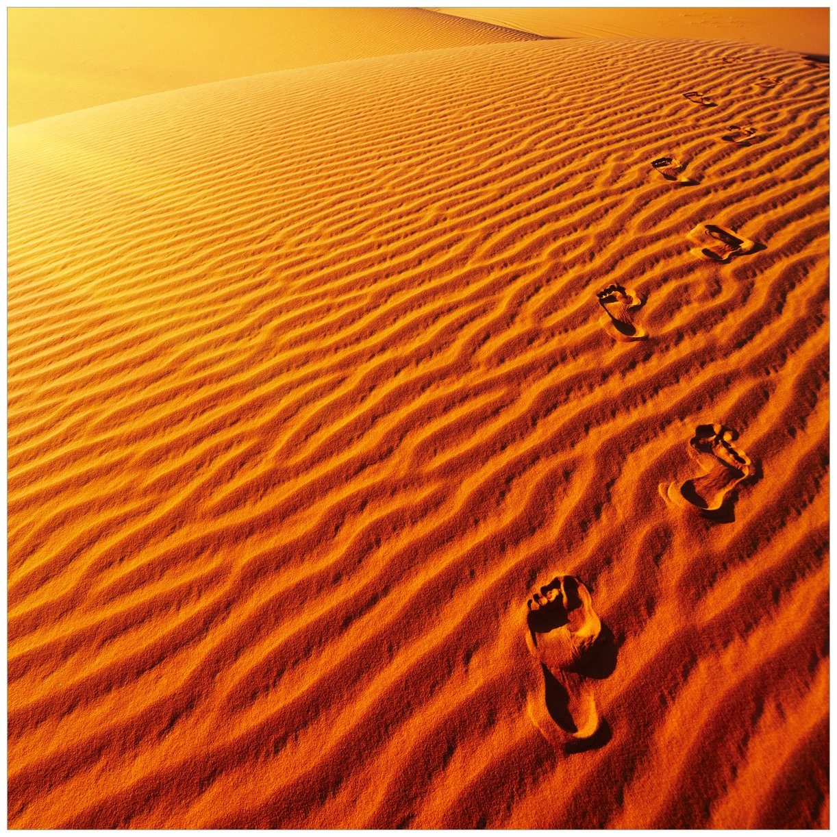 Wallario Tischplatte Fußspuren im Sand - Sanddüne in der Wüste (1 St), für Ikea Lack Tisch geeignet