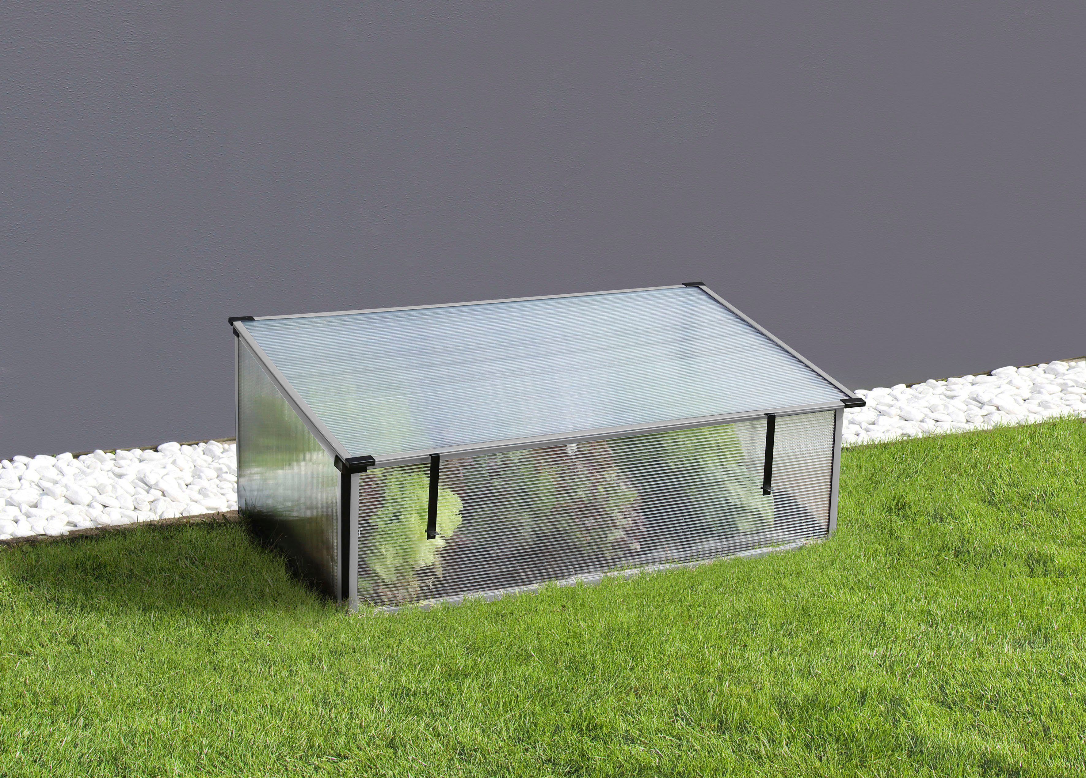 Vitavia Frühbeet Levana 2, BxTxH: 55x95x36,5 cm, kiesel