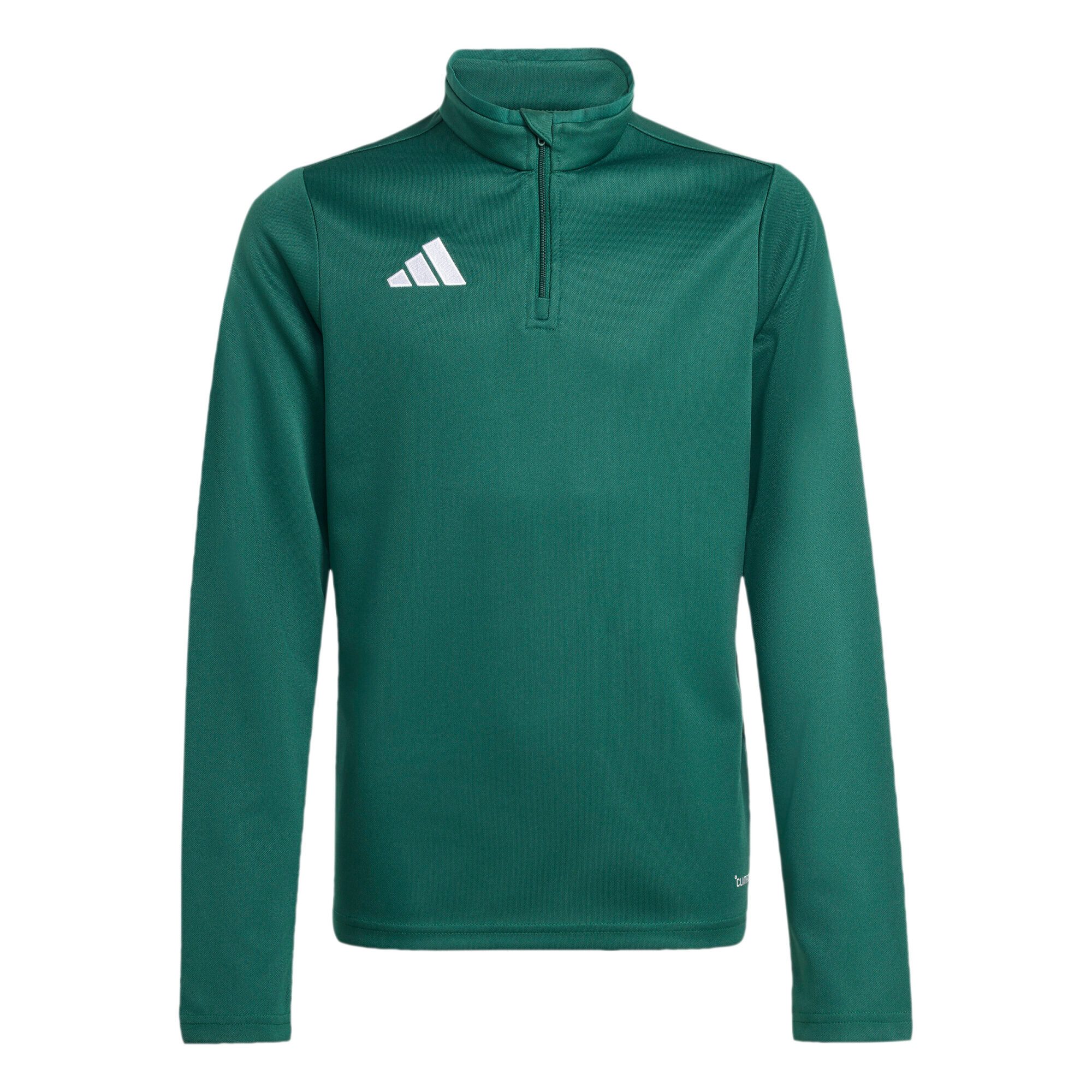 Team Dark Green / White