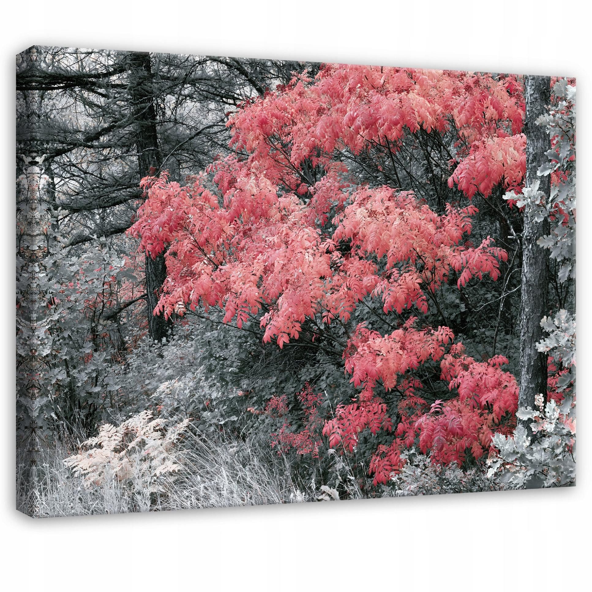 Wallarena Leinwandbild Wald UV-beständig stabil Schlafzimmer Wohnzimmer 120x80 cm, Wald, 40 x 30 cm