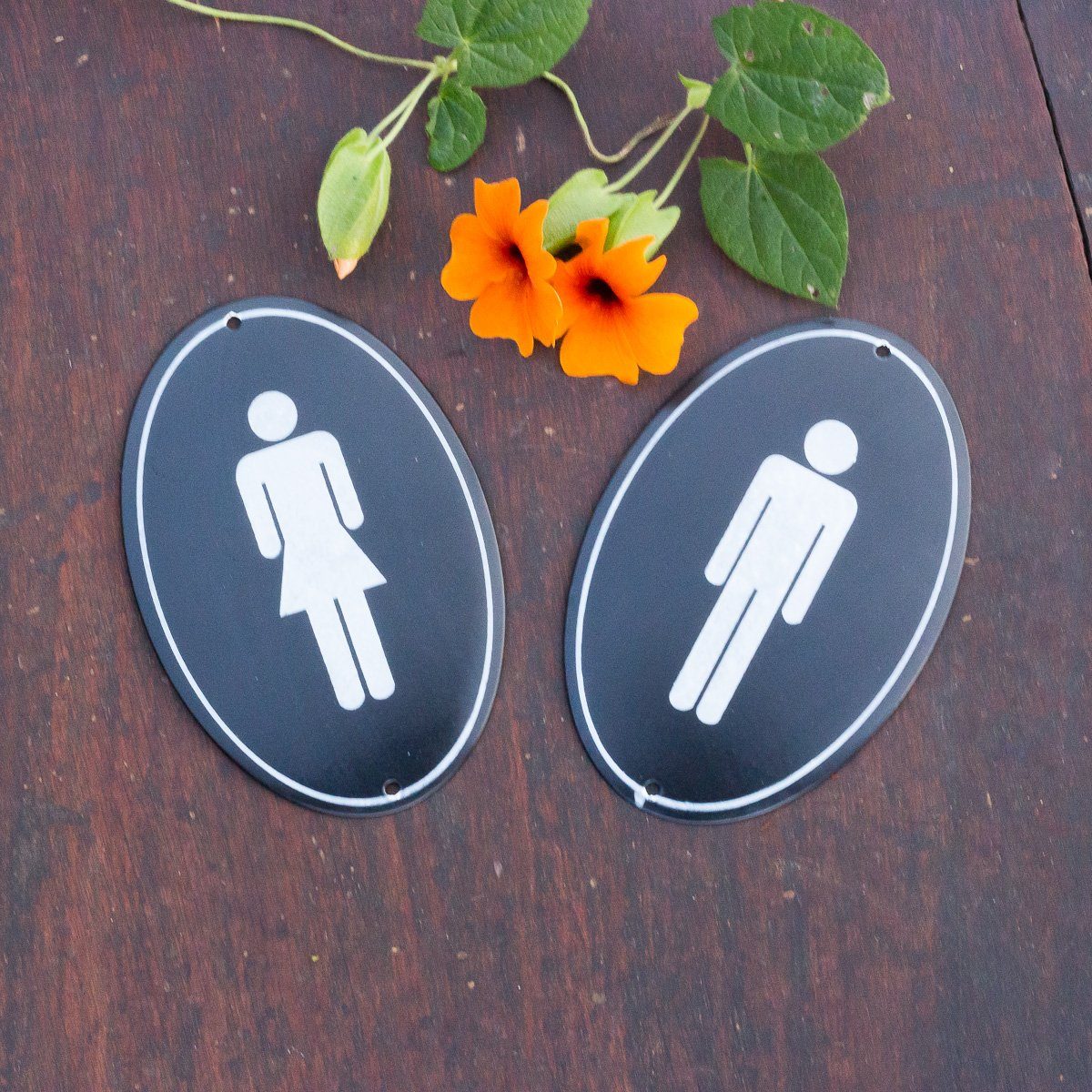Antikas Wanddekoobjekt Toilettenschilder aus Emaille, WC-Schilder im Set, Mann und Frau, oval