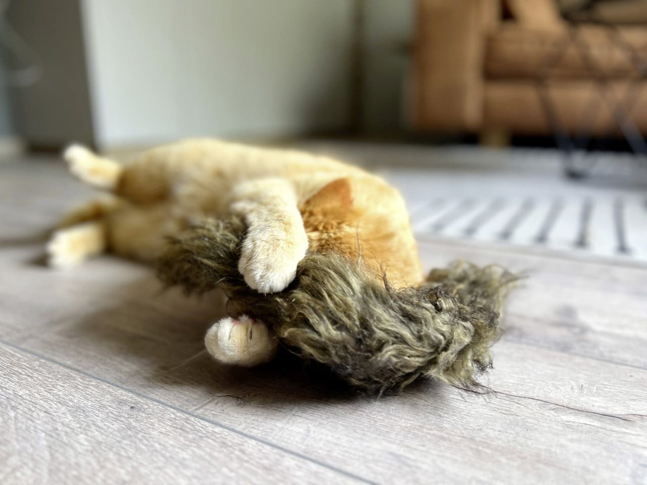 Aumüller Katzenspielrad Aumüller Katzenspielzeug Frettchen grau mit, Sand