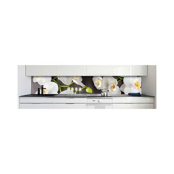 DRUCK-EXPERT Küchenrückwand Küchenrückwand Orchideen Zweig Hart-PVC 0,4 mm selbstklebend