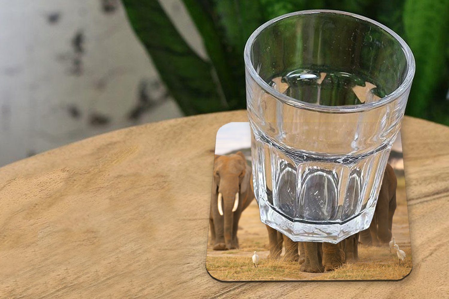 MuchoWow Tasse Gläser, der Glasuntersetzer Untersetzer, Tischuntersetzer, 6-tlg., Korkuntersetzer, Elefanten, Zubehör Glasuntersetzer, für Familie