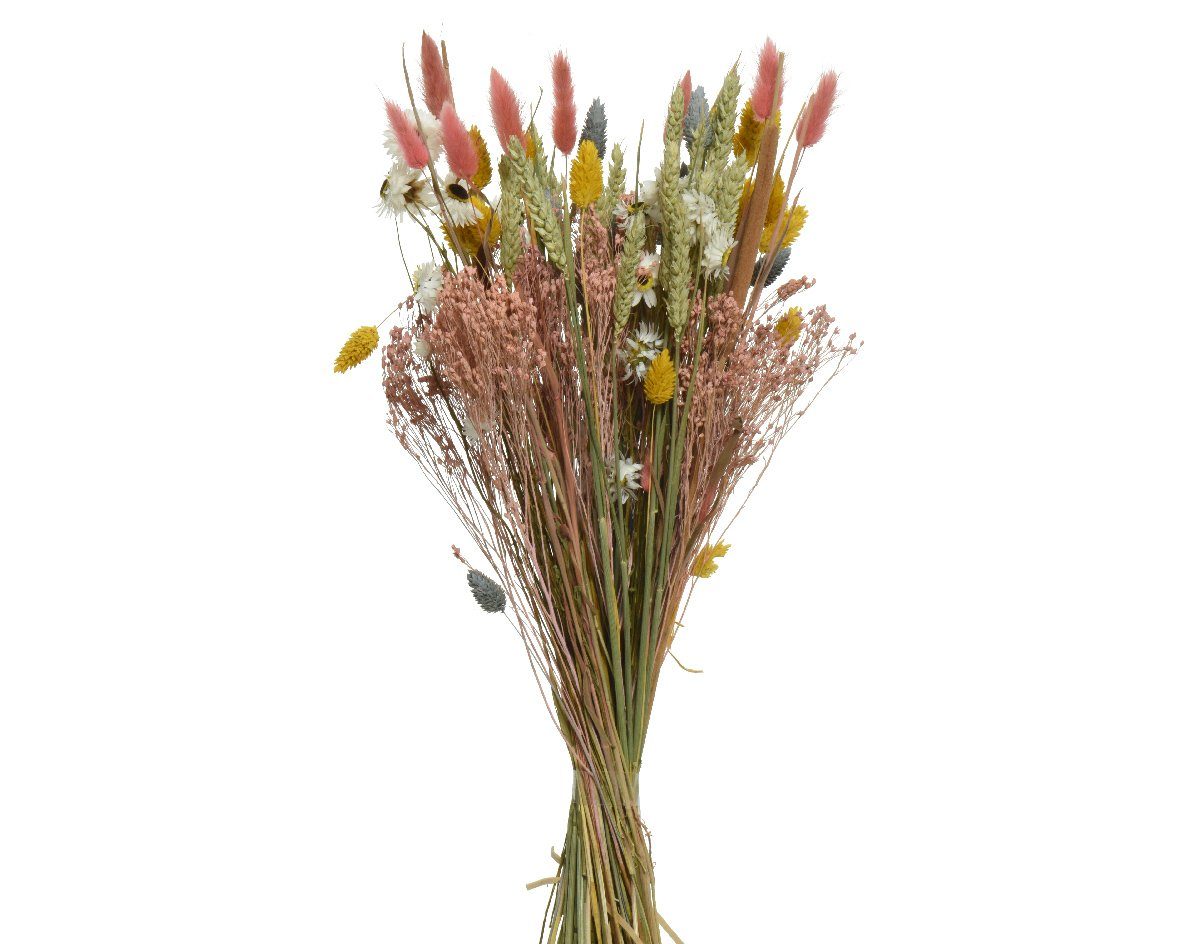 Trockenblume, Decoris season decorations, Trockenblumen Strauß Blumen und  Gräser Mix 60cm bunt / rosa 1 Bund