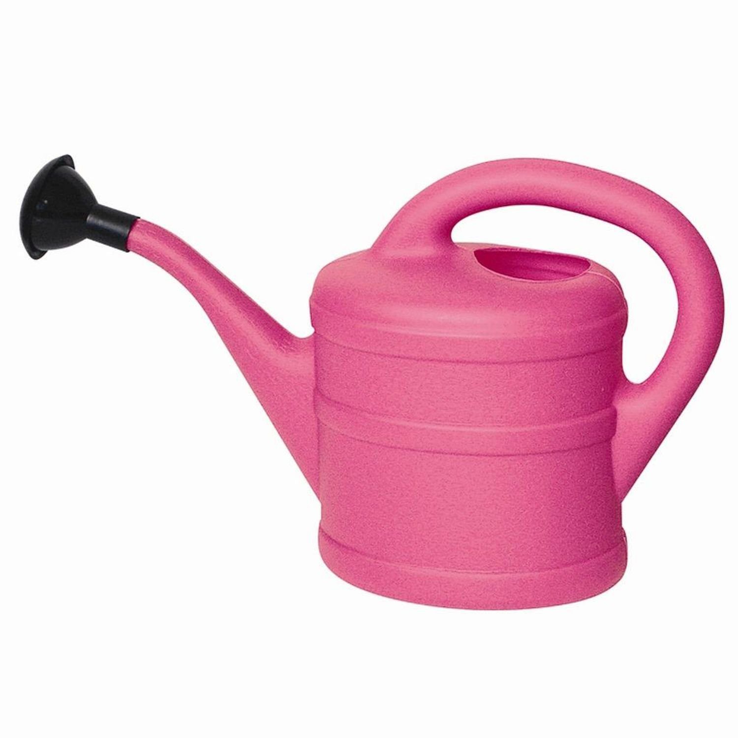 Geli Gießkanne Kunststoff-Gießkanne 1,0 l pink
