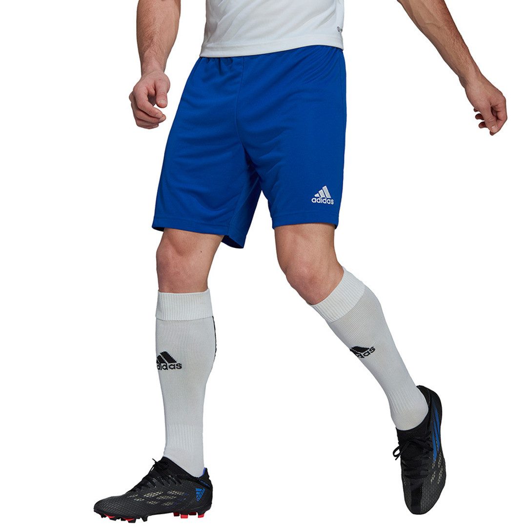 adidas Performance Trainingsshorts Entrada 22