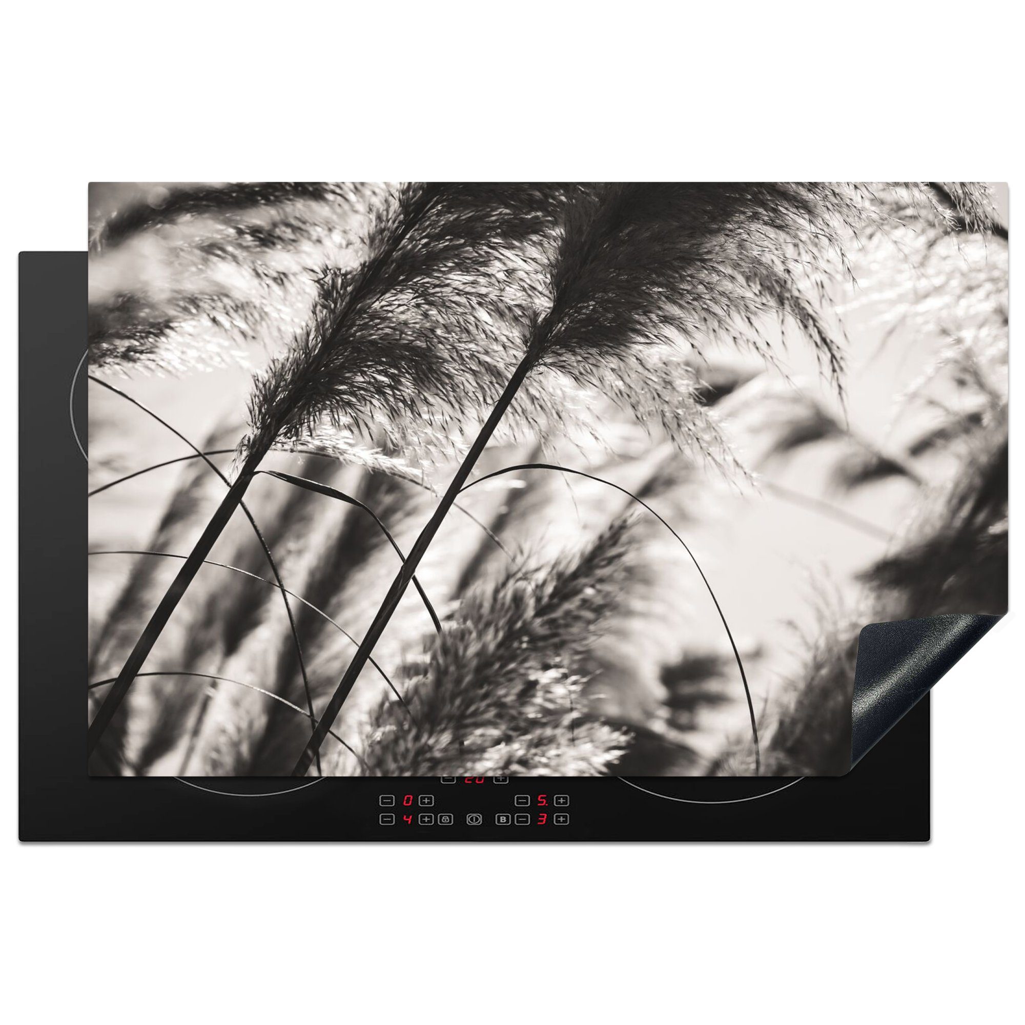 MuchoWow Herdblende-/Abdeckplatte Pampasgras - Schwarz - Weiß - Pflanze, Vinyl, (1 tlg), 81x52 cm, Ceranfeldabdeckung, Arbeitsplatte für küche