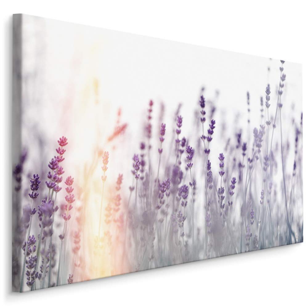 Muralo Leinwandbild Landschaft – Leinwandbild Wandbild Kunstdruck Wohnzimmer, Gewässer (1 St), Blumen – Lavendel – Natur, 100 x 70 cm, aufhängefertig