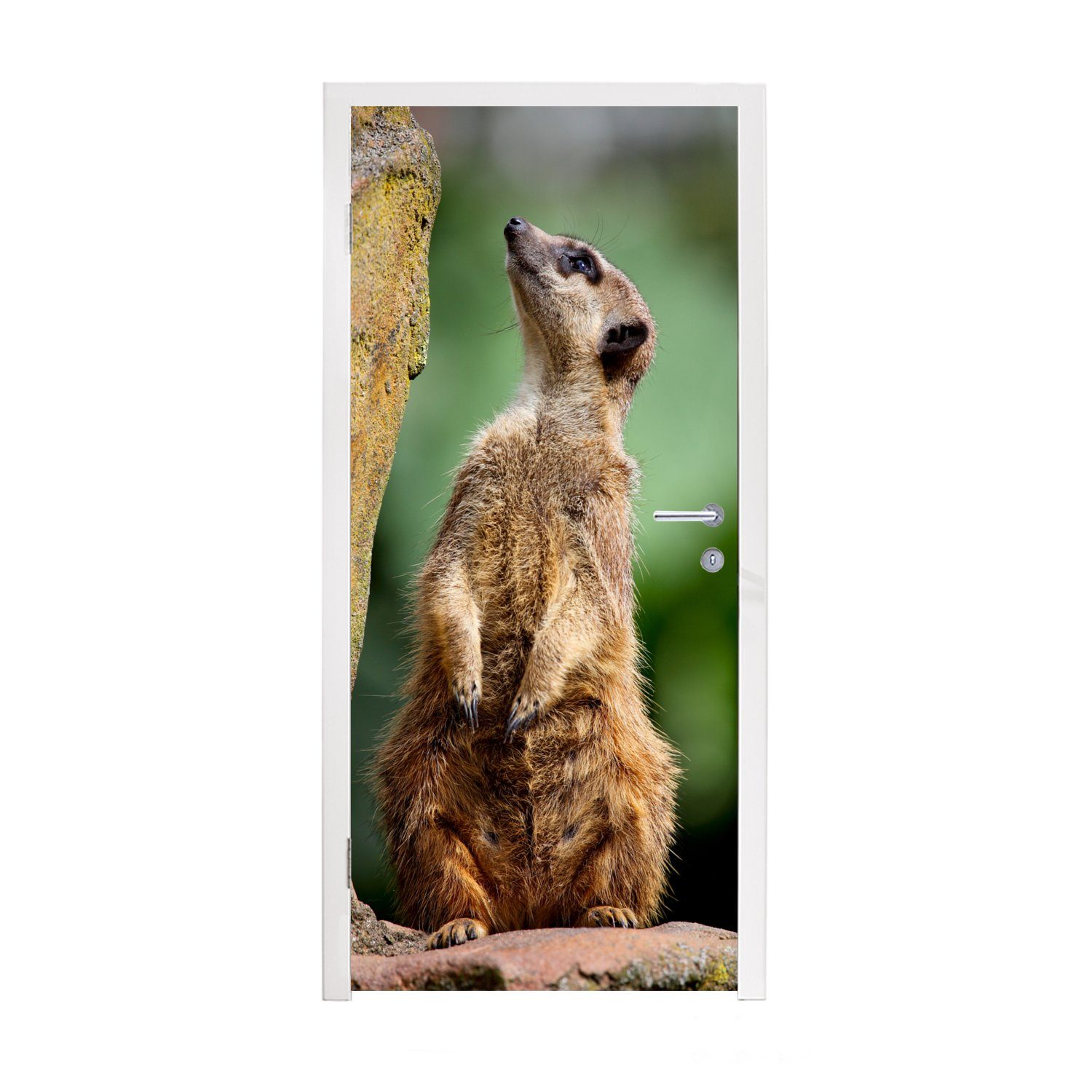 MuchoWow Türtapete Erdmännchen - Tier - Rock, Matt, bedruckt, (1 St), Fototapete für Tür, Türaufkleber, 75x205 cm