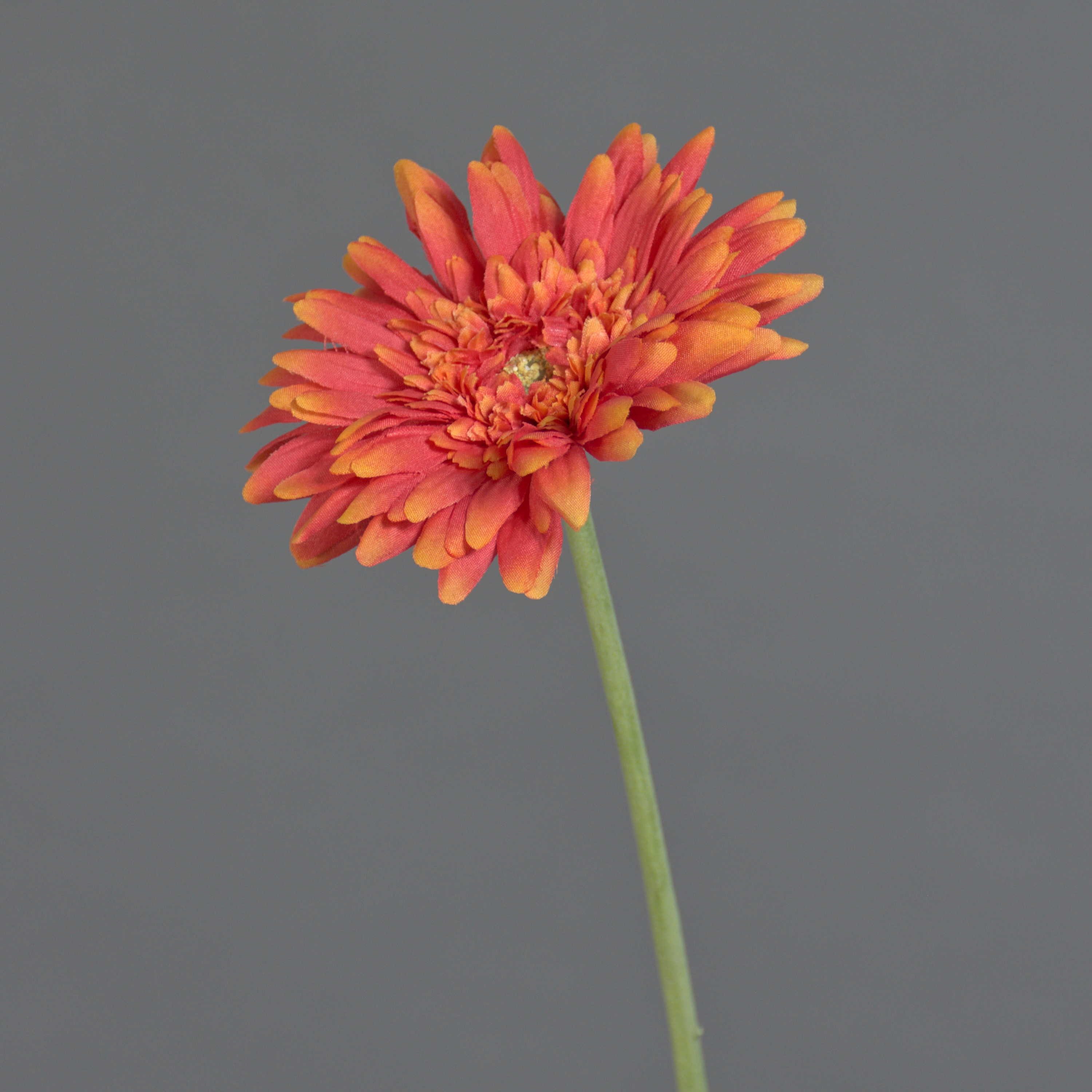Kunstblume Kunstgerbera Aitana, orange, 55cm Gerbera, artplants, Höhe 55.0 cm