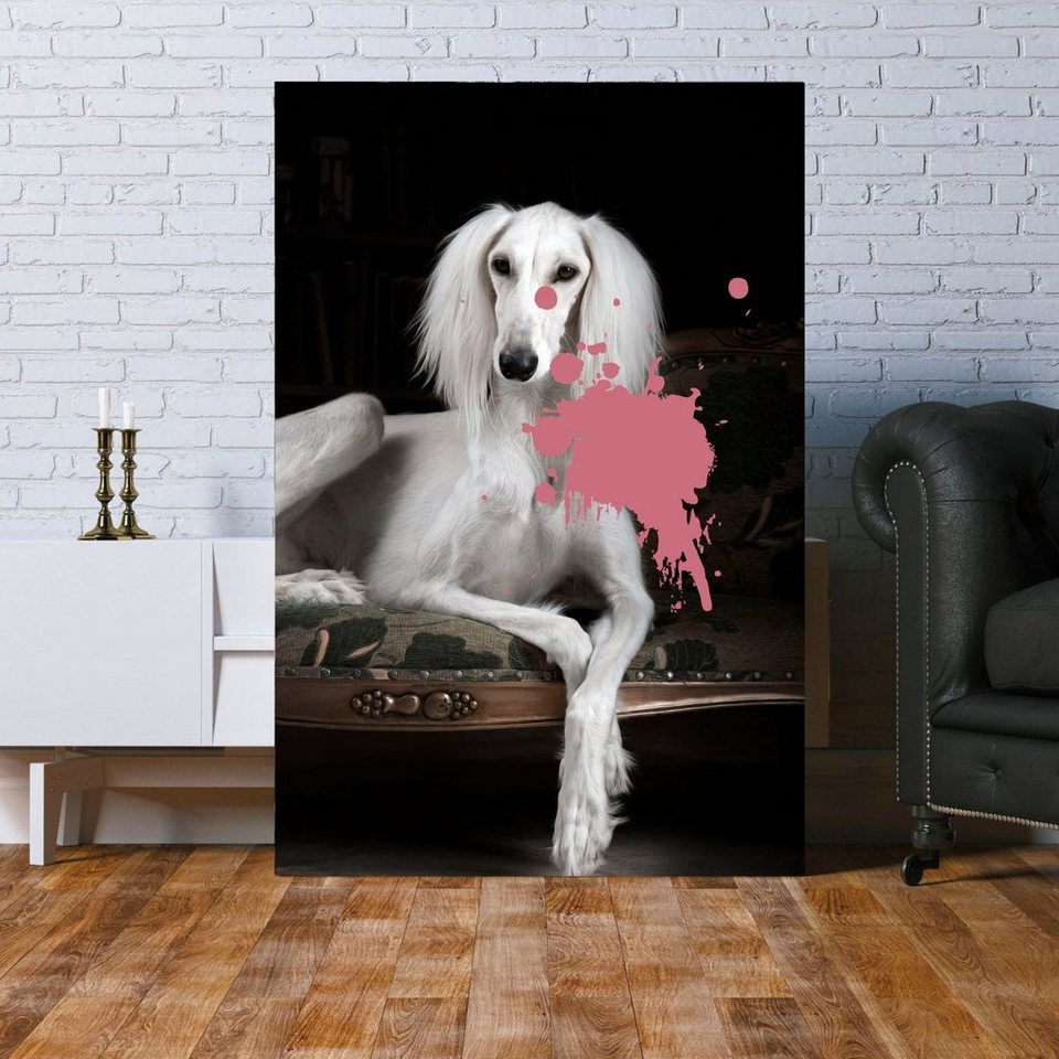 Queence Acrylglasbild Hund Dank Ihrer Glatten Und Glanzenden Oberflache Sowie Der Bereits Integrierten Wandhalterung Im Lieferumfang Enthalten Auf Der Ruckseite Verleihen Acrylglasbilder Deinem Wohnraum Einen Attraktiven Blickfang Mit Schwebender