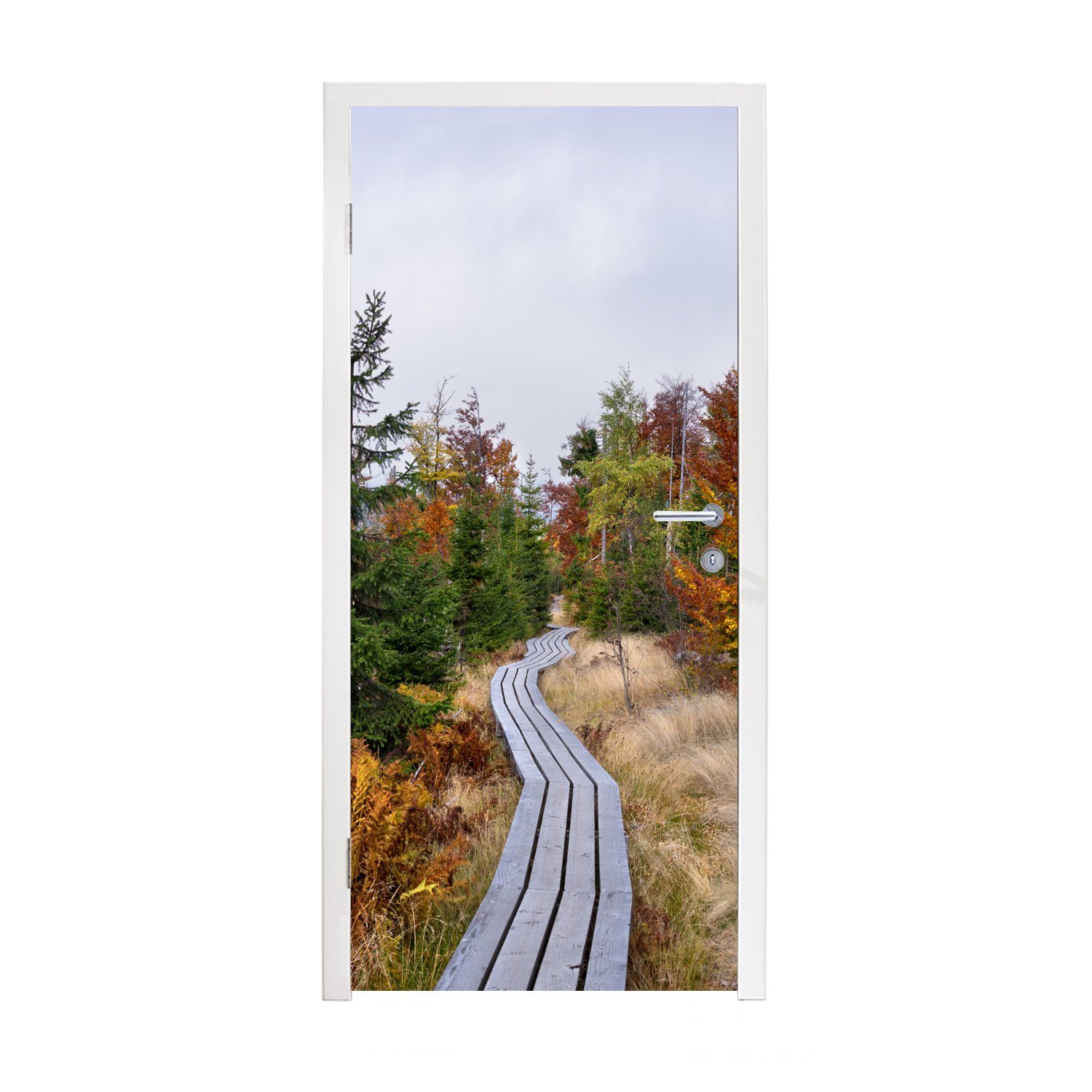 MuchoWow Türtapete Tür, im Natur St), Nationalpark die für Fototapete durch Holzsteg 75x205 bedruckt, Bayerischer Wald, Türaufkleber, (1 cm Matt