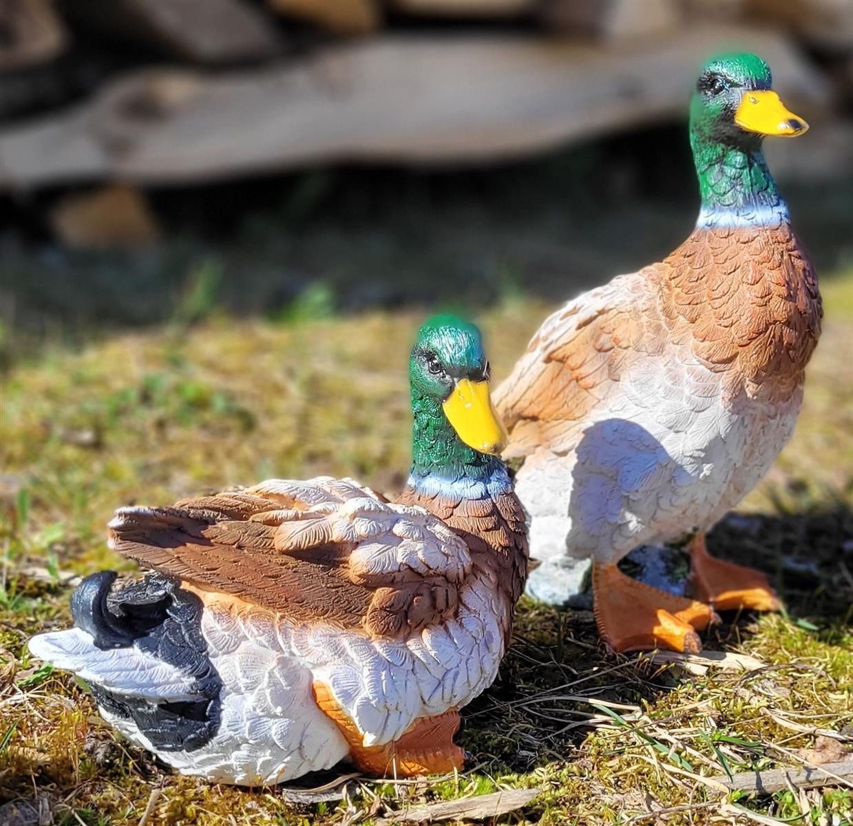 Geschenkestadl Tierfigur 2 Enten Entenpaar stehend/liegend Dekoration Haus Teich Garten Deko (2 St) – Bild 3 von 4