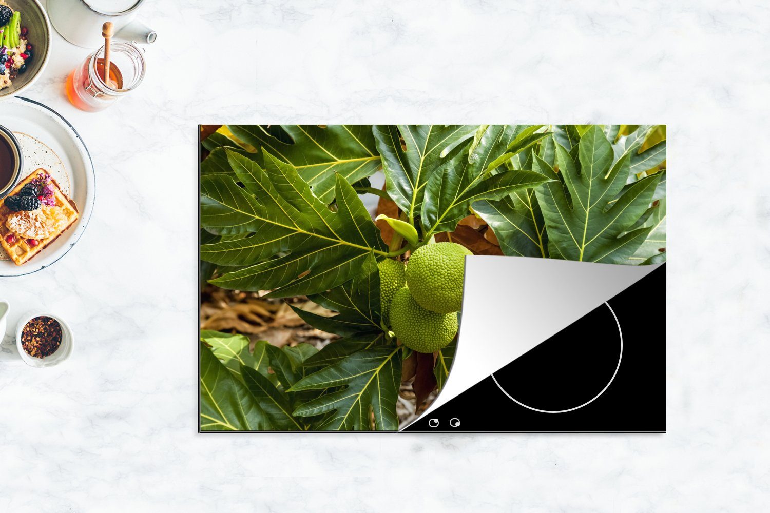 MuchoWow Herdblende-/Abdeckplatte Ein schöner Brotfruchtbaum, tlg), Vinyl, Blättern, Induktionskochfeld umgeben die Ceranfeldabdeckung (1 cm, von großen küche, 81x52 Schutz für