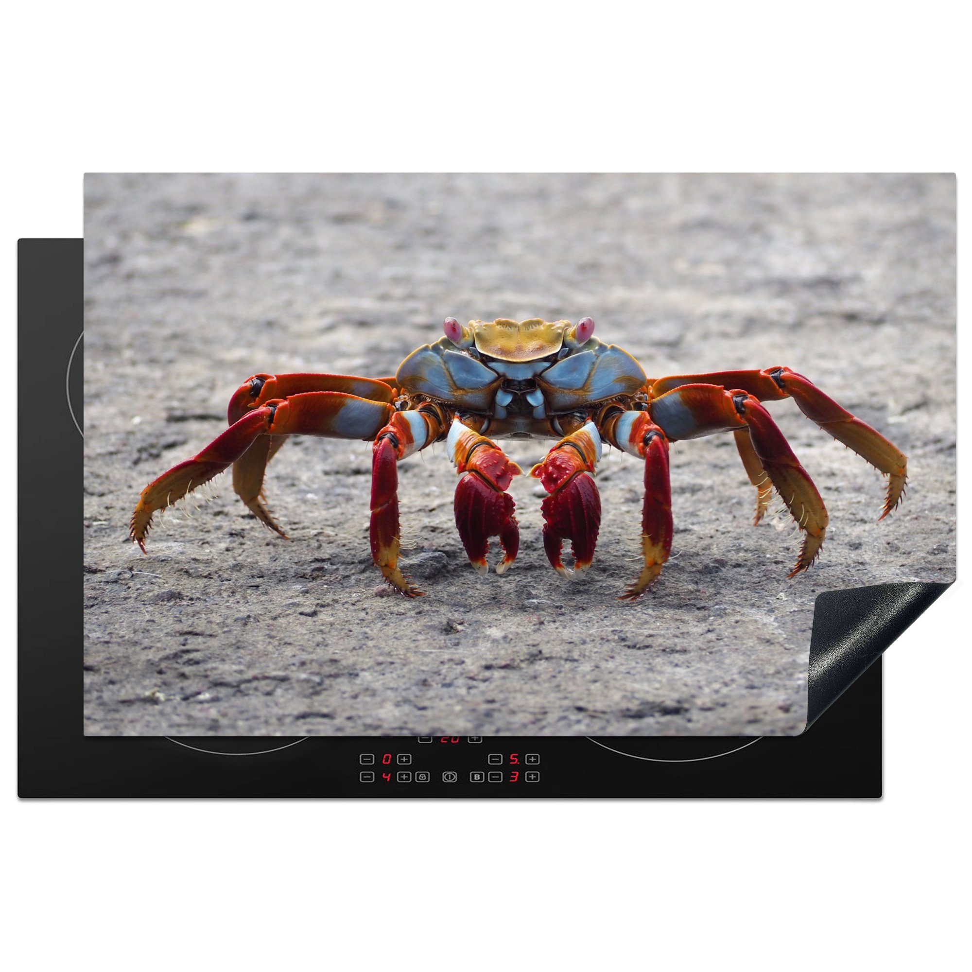 Tiere Schutz Herdblende-/Abdeckplatte - cm, 81x52 MuchoWow Vinyl, küche, (1 Induktionskochfeld die für Ceranfeldabdeckung - Strand Krabbe, tlg),