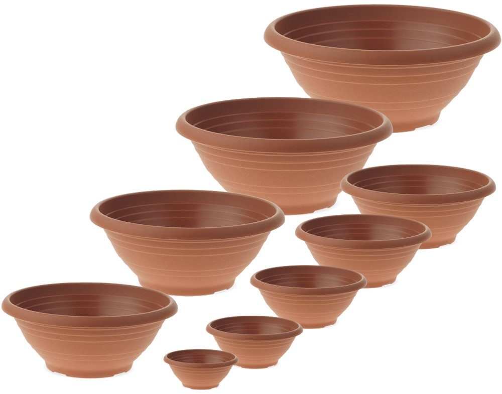 matches21 HOME & HOBBY Blumentopf (1 günstig online kaufen