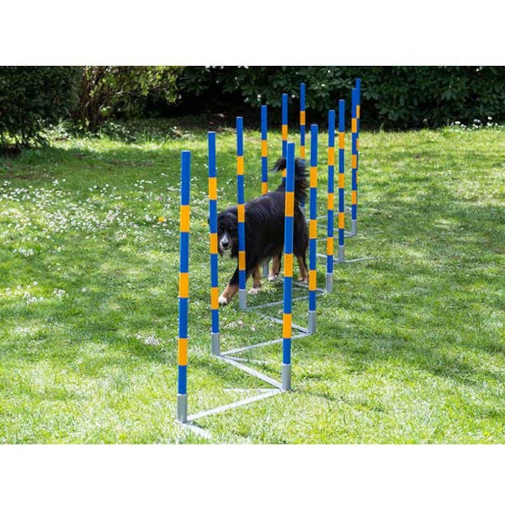 Procyon Agility-Slalom PROCYON Dog Agility Profi Alu Slalom