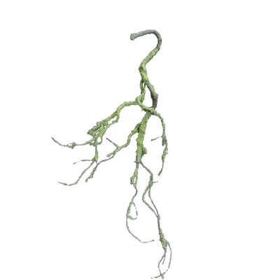 Kunstblume Moos Girlande Hellgrün 70 cm Kunstpflanze Flora Moos, HTI-Living, Höhe 70 cm