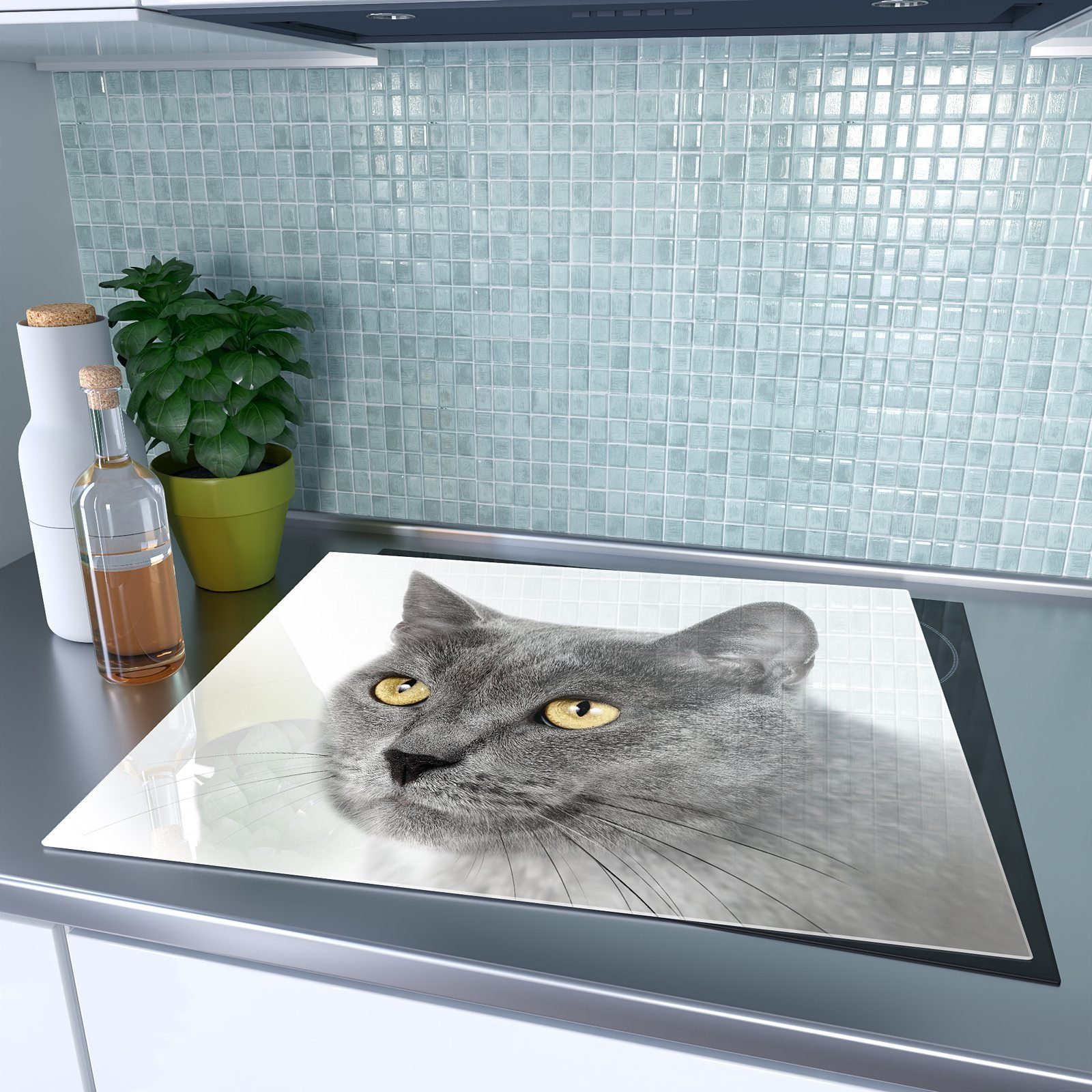 Herd-Abdeckplatte Glas Katze Graue Herdabdeckplatte vor Primedeco heller aus (1 Spritzschutz Glas, Wand, tlg)