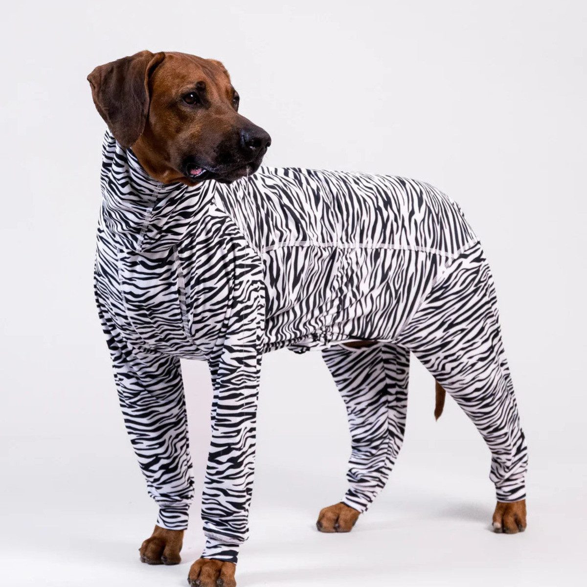 PAIKKA Hundeoverall UV- und Insektenschutz-Overall Version 2026