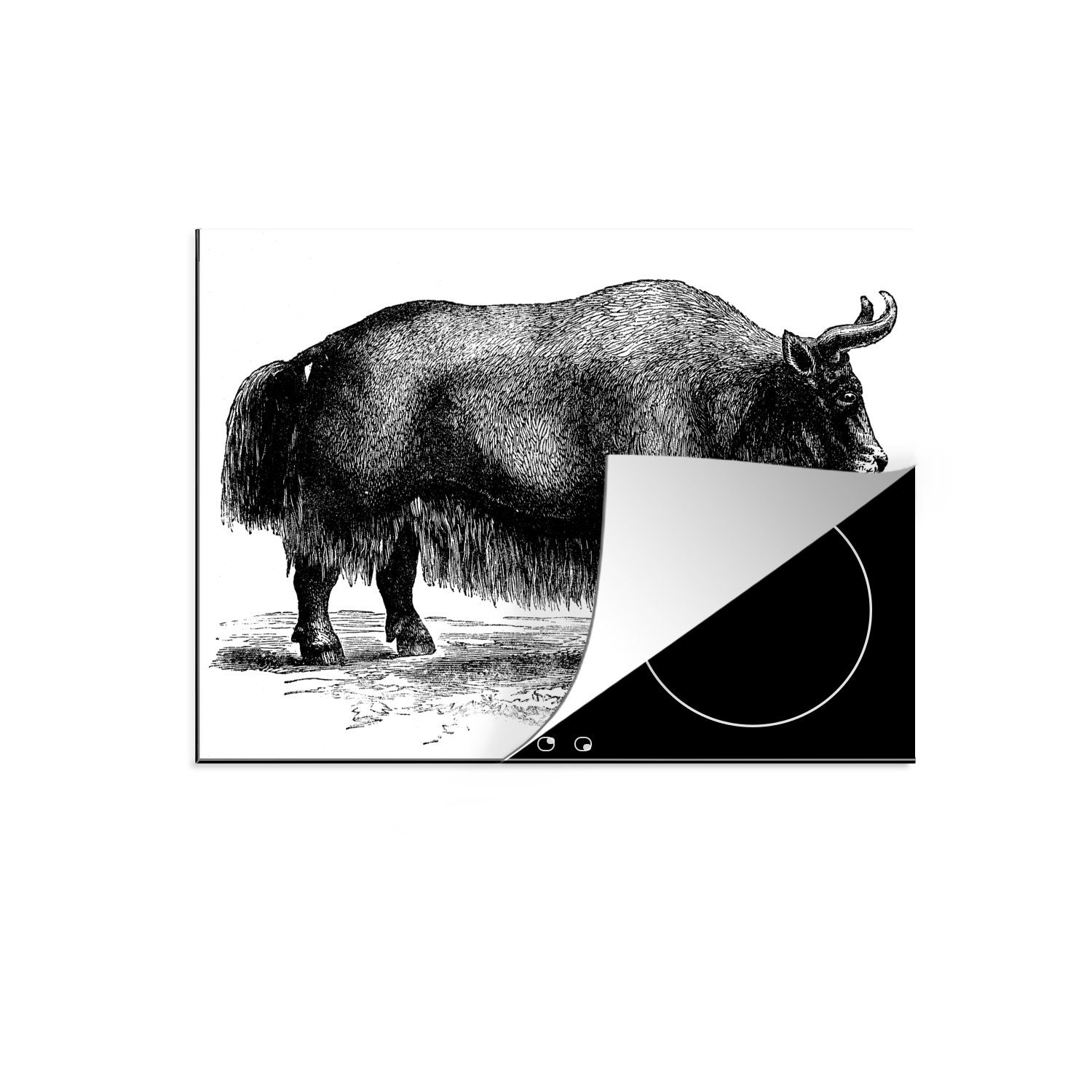 MuchoWow Herdblende-/Abdeckplatte Schwarz-Weiß-Illustration eines Yaks, Vinyl, (1 tlg), 70x52 cm, Mobile Arbeitsfläche nutzbar, Ceranfeldabdeckung