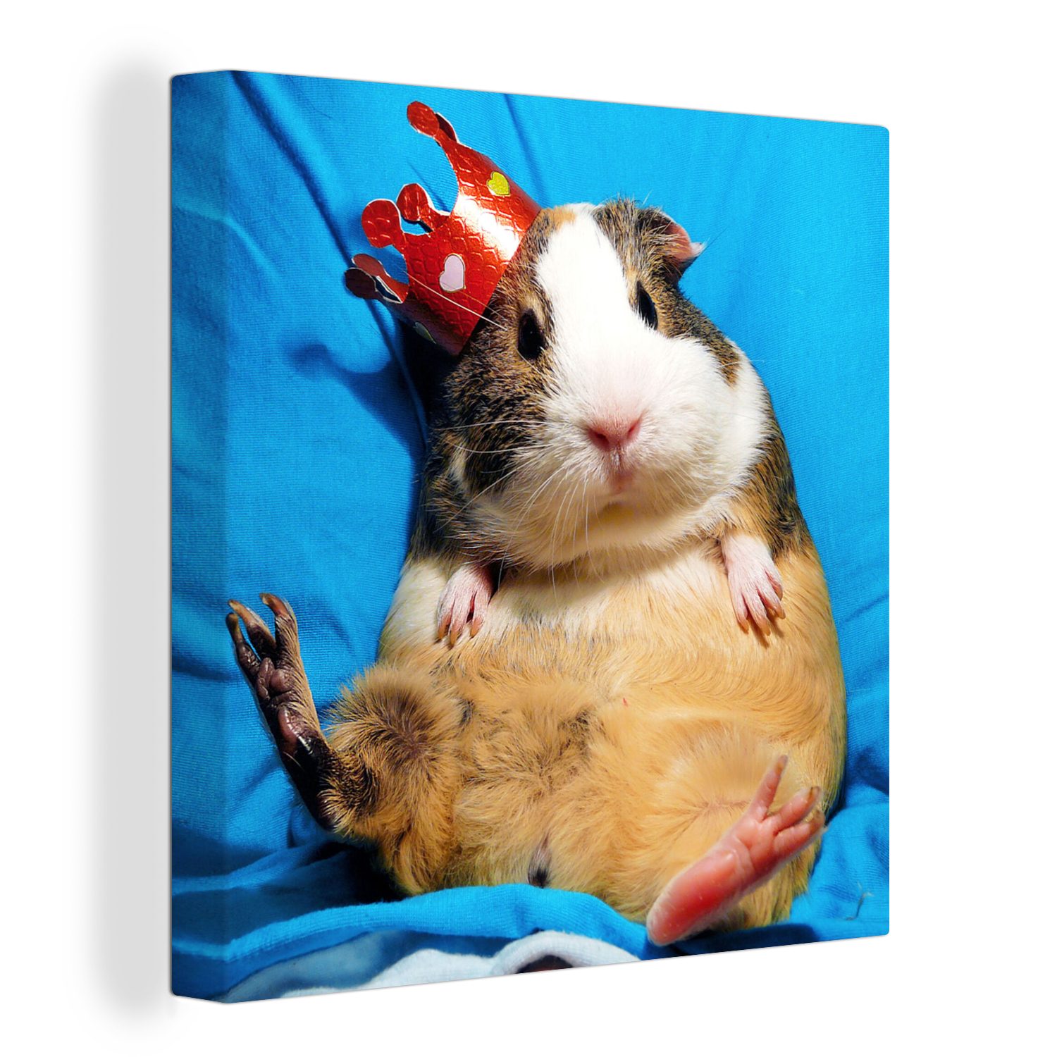 OneMillionCanvasses® Leinwandbild Meerschweinchen - Lustig - Krone - Kinder - Jungen - Mädchen - Kind, (1 St), Leinwand Bilder für Wohnzimmer Schlafzimmer