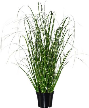 Kunstgras Miscanthus, Creativ green