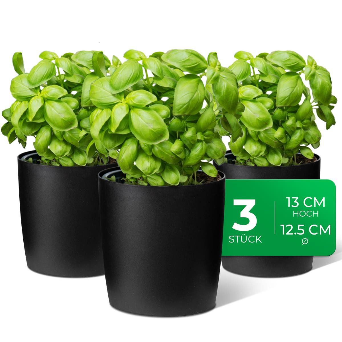 Novaliv Kräutertopf - (3 St), 3x günstig online kaufen