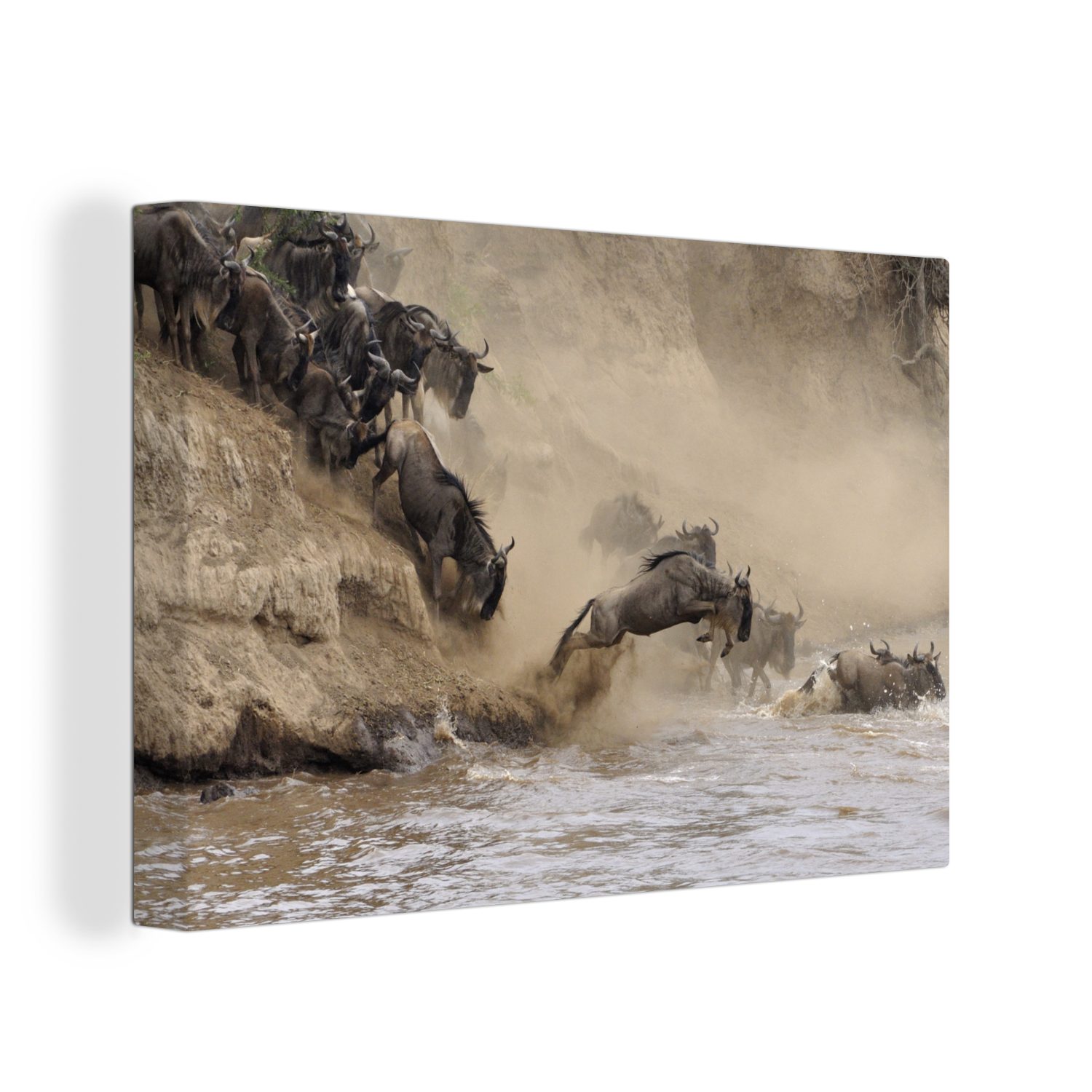 OneMillionCanvasses® Leinwandbild Viele Gnus springen durch das wilde Wasser, (1 St), Wandbild Leinwandbilder, Aufhängefertig, Wanddeko, 30x20 cm
