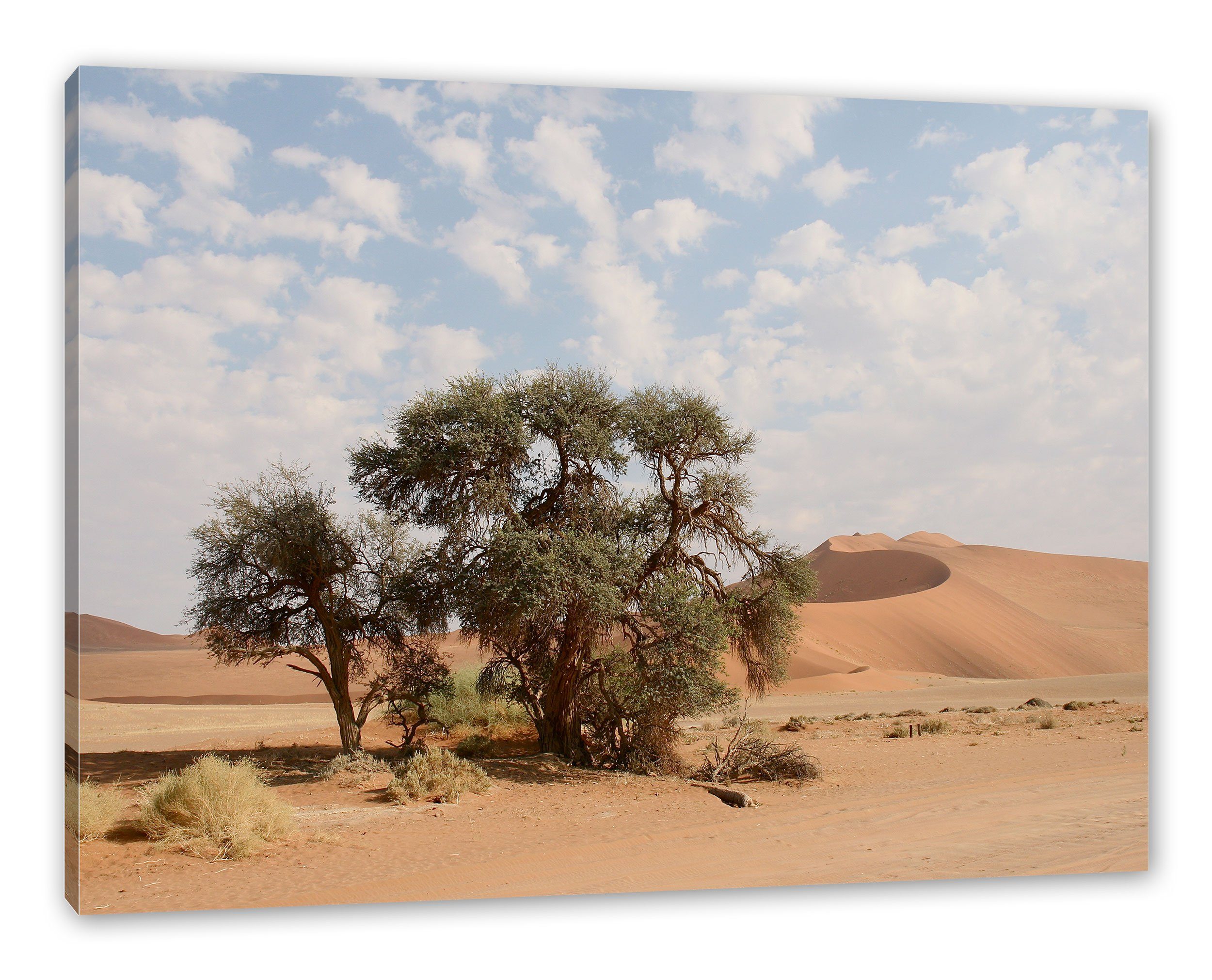 Pixxprint Leinwandbild Bäume in Wüstenlandschaft, Bäume in Wüstenlandschaft (1 St), Leinwandbild fertig bespannt, inkl. Zackenaufhänger