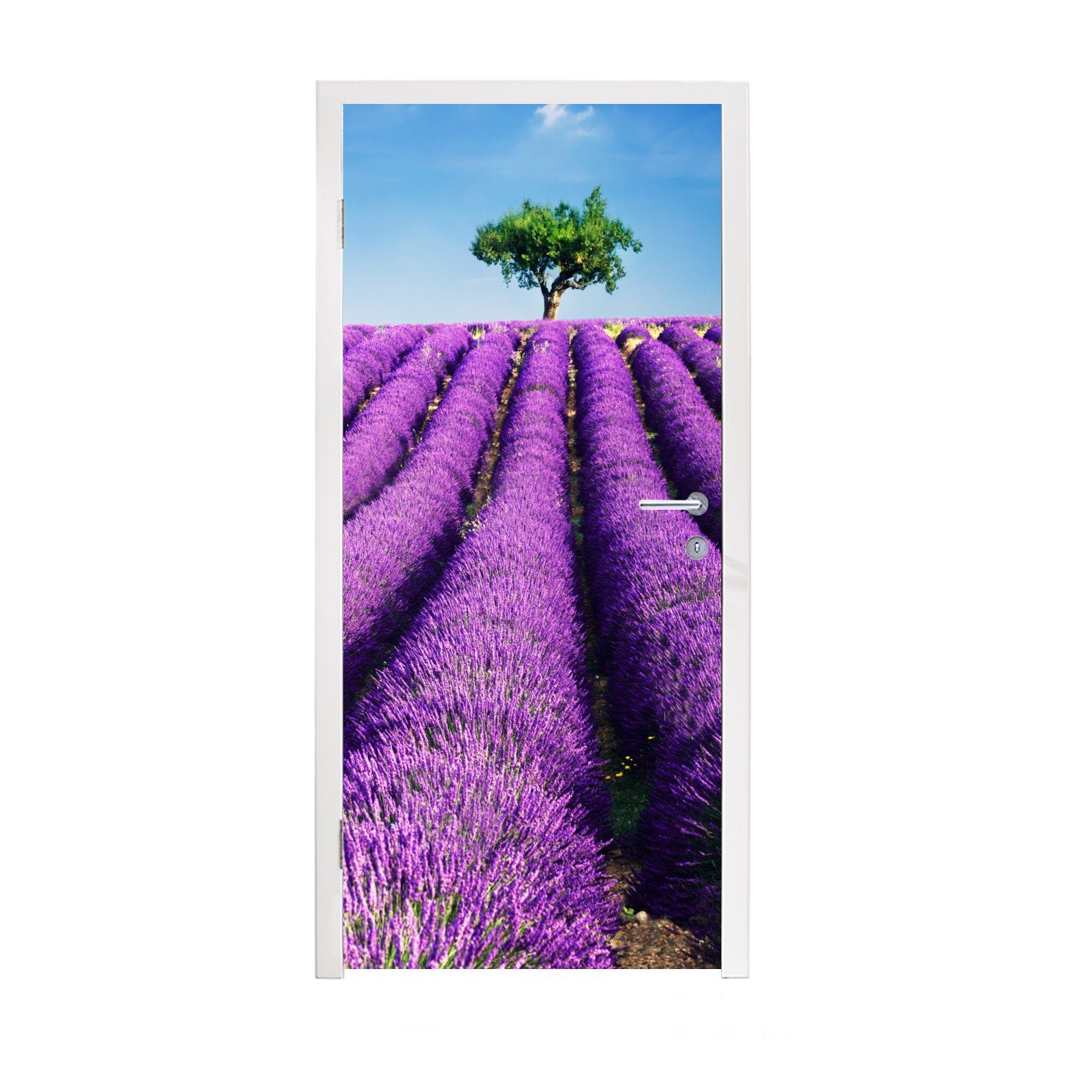 MuchoWow Türtapete Ein lila blühendes Lavendelfeld an einem sonnigen Tag, Matt, bedruckt, (1 St), Fototapete für Tür, Türaufkleber, 75x205 cm