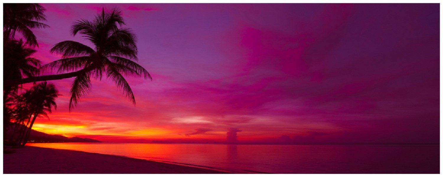 Wallario Memoboard Abendrot unter Palmen - pinker Himmel am Strand