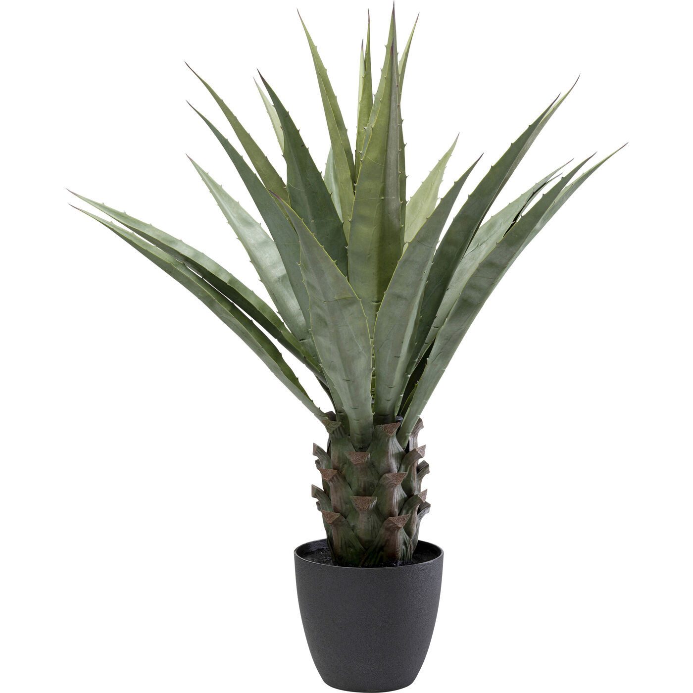 Künstliche Zimmerpflanze Agave, Kare Design, Höhe günstig online kaufen