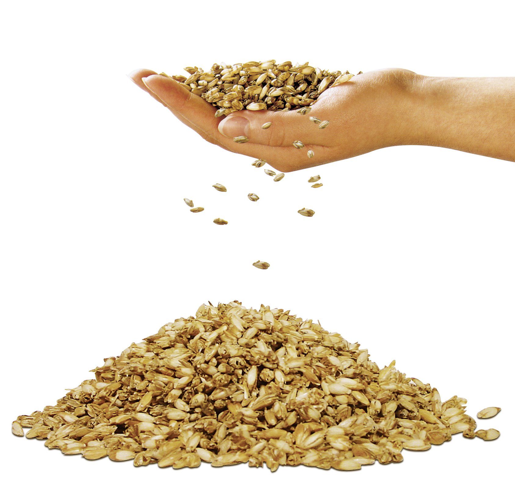 fan Schlafkomfort Exklusiv Kopfkissen Medisan Sleep & Care Dinkelkissen, Fü günstig online kaufen