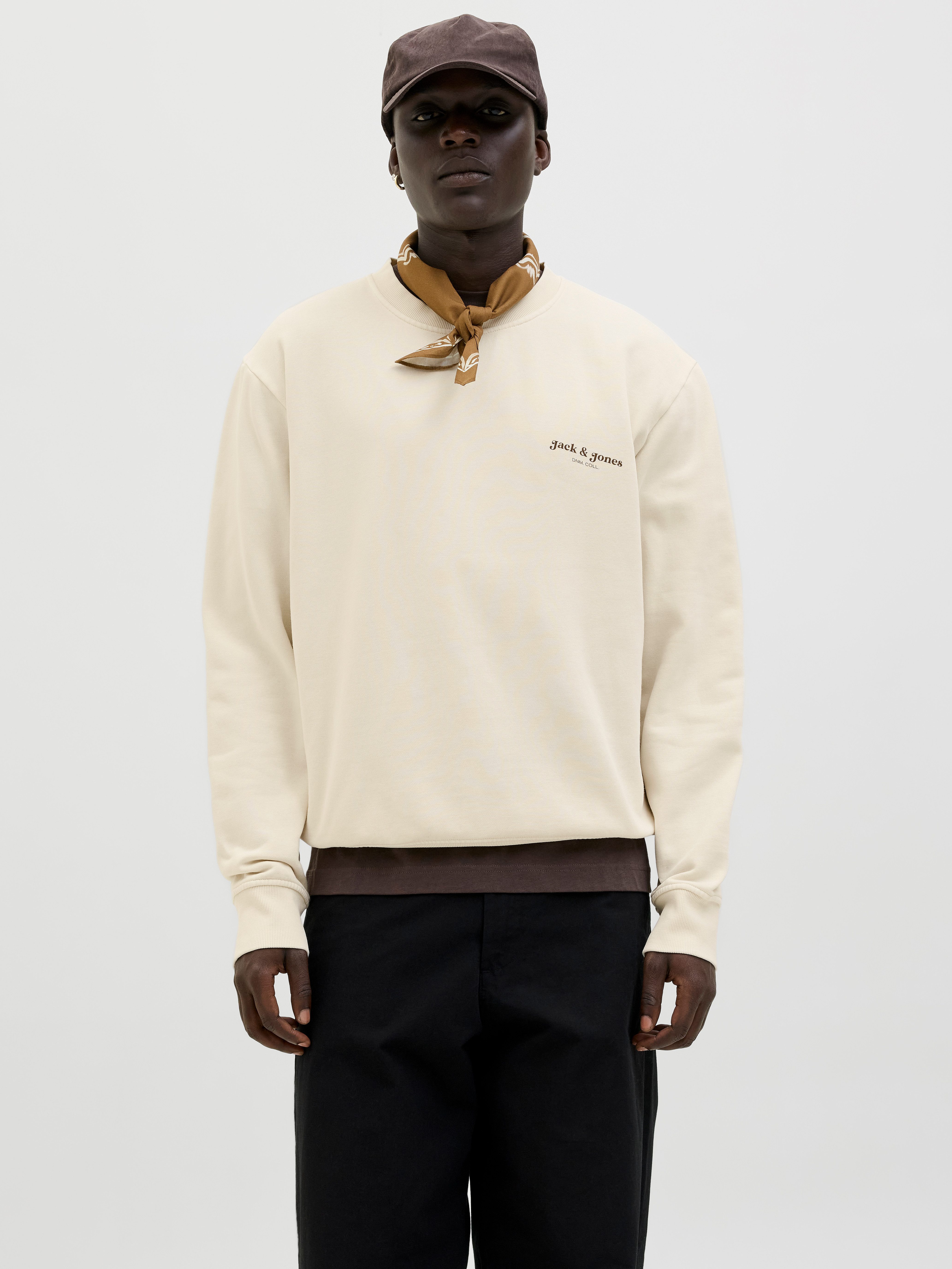 Jack & Jones Sweatshirt JJEDOVER PRINT SWEAT CREW NECK günstig online kaufen