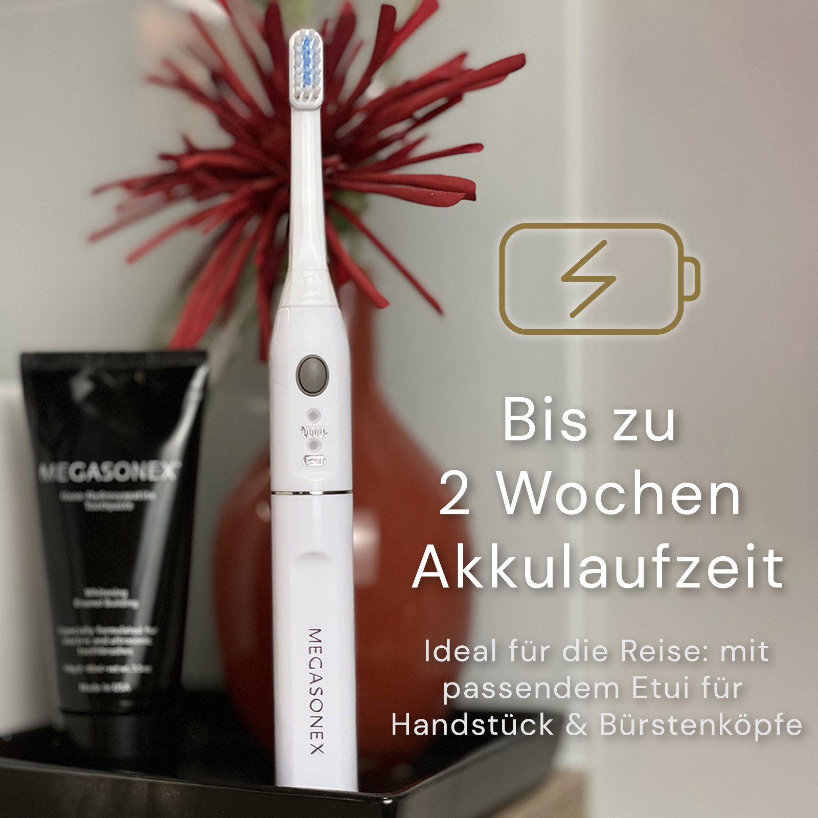 Megasonex Ultraschallzahnbürste M8, Aufsteckbürsten: 2 St., Ultraschall-Zahnbürste mit Ladestation, 2 Bürstenköpfen & Reiseetui – Bild 5 von 5
