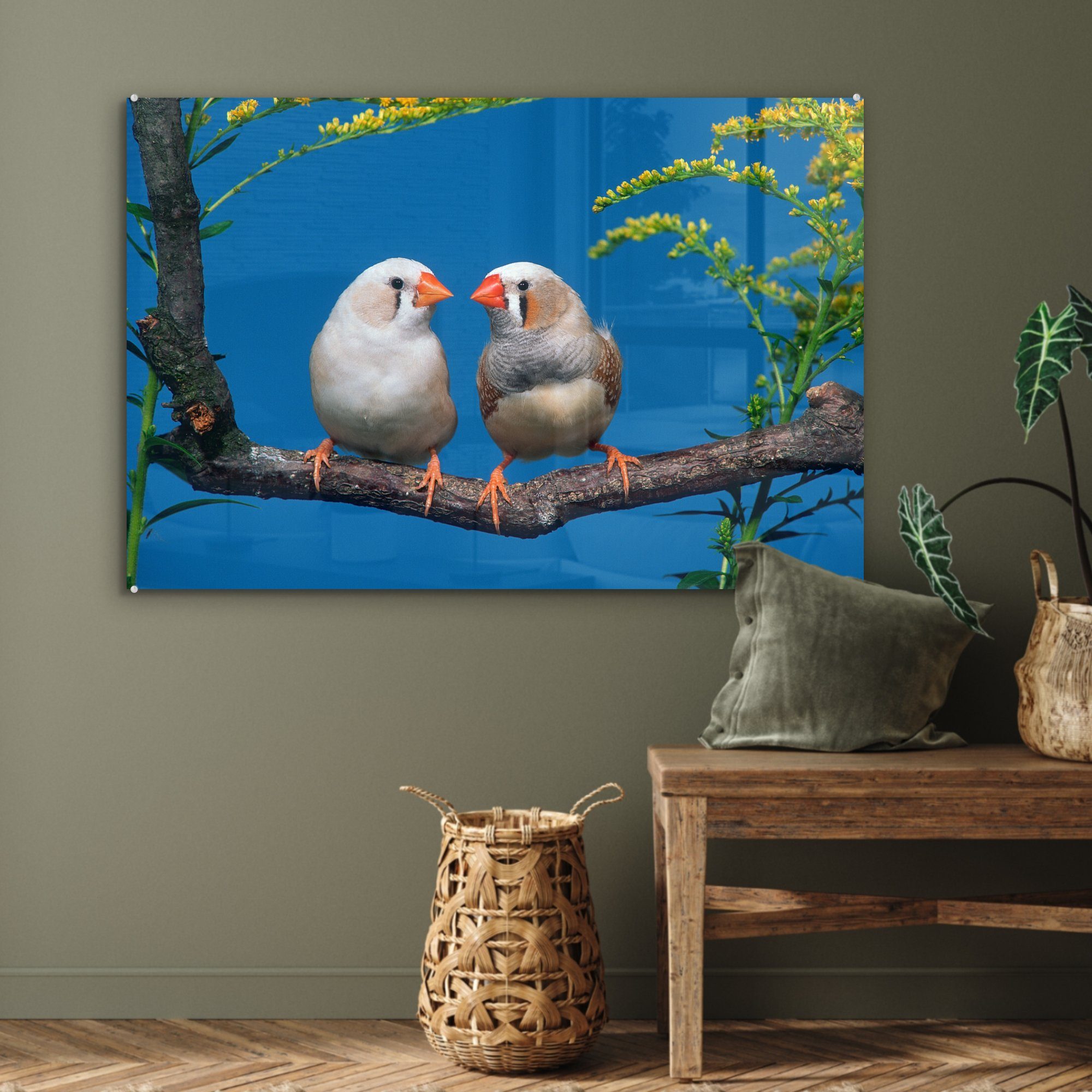 Acrylglasbild den St), über MuchoWow & Schlafzimmer Ein blauer (1 Acrylglasbilder Himmel Zebrafinken, Wohnzimmer