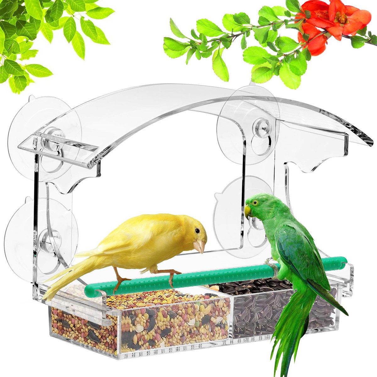 DOPWii Vogelhaus Vogelfutterspender mit 4 extra starken Saugnäpfen