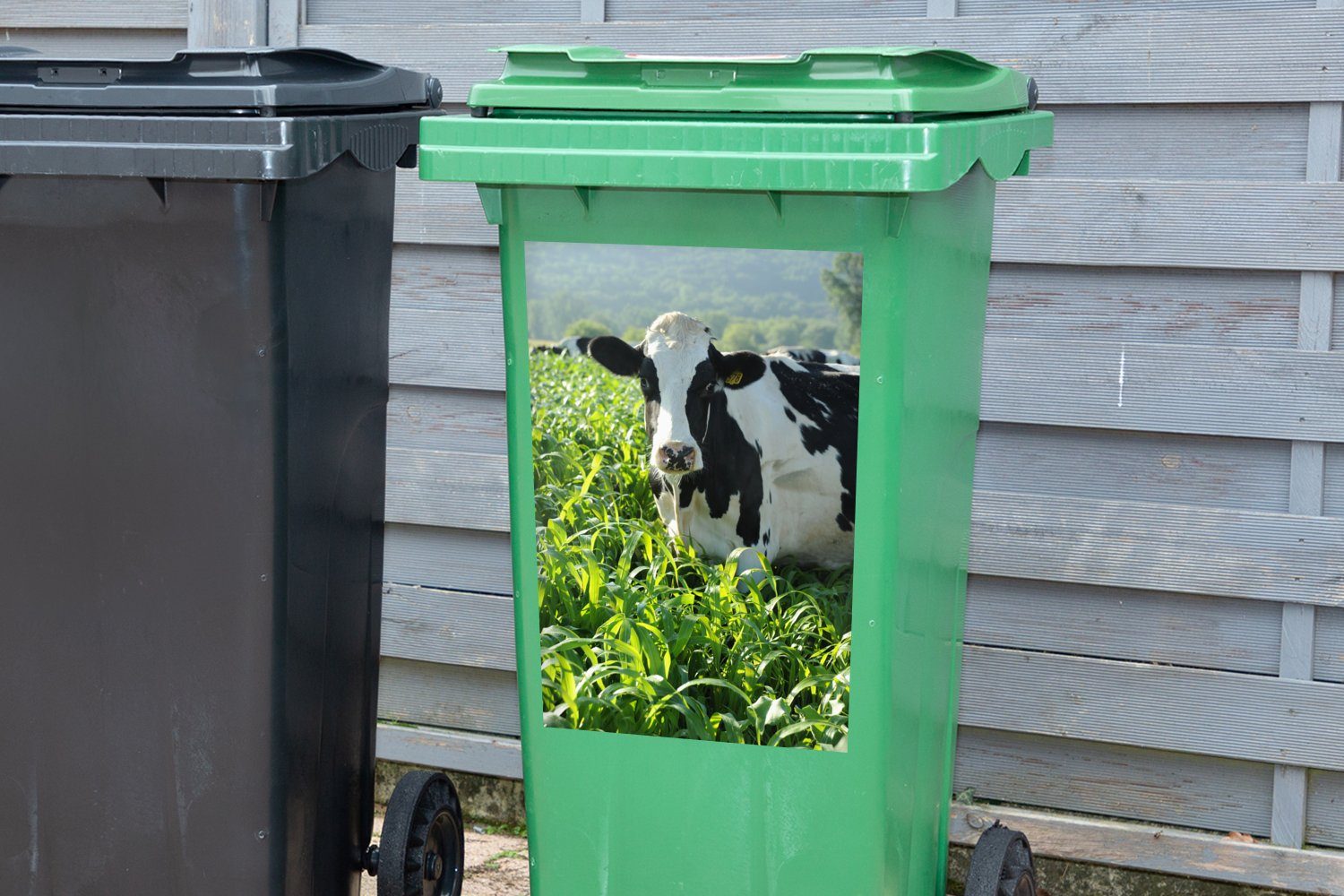 Abfalbehälter Mülleimer-aufkleber, Gras (1 Sticker, Mülltonne, Wandsticker St), Tiere - Container, MuchoWow Kuh - - Berg