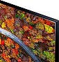 LG 55UP81009LR LCD-LED Fernseher (139 cm/55 Zoll, 4K Ultra HD, Smart-TV, LG Local Contrast, Sprachassistenten, HDR10 Pro, LG ThinQ, inkl. Magic-Remote Fernbedienung), Bild 4