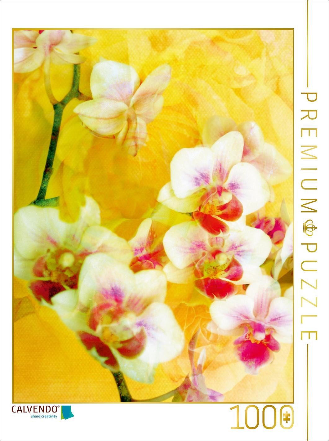 Puzzle CALVENDO Puzzle Sonnige Orchideen, 1000 Teile Lege-Größe 64x48cm Foto