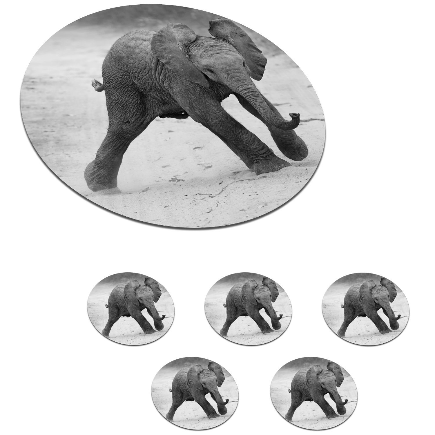 Becher weiß, MuchoWow Elefant Baby Schwarz - Tiere Zubehör Gläser, Tasse, Korkuntersetzer, - Tassenuntersetzer, - Getränkeuntersetzer, für 6-tlg., und Kröte - Glasuntersetzer