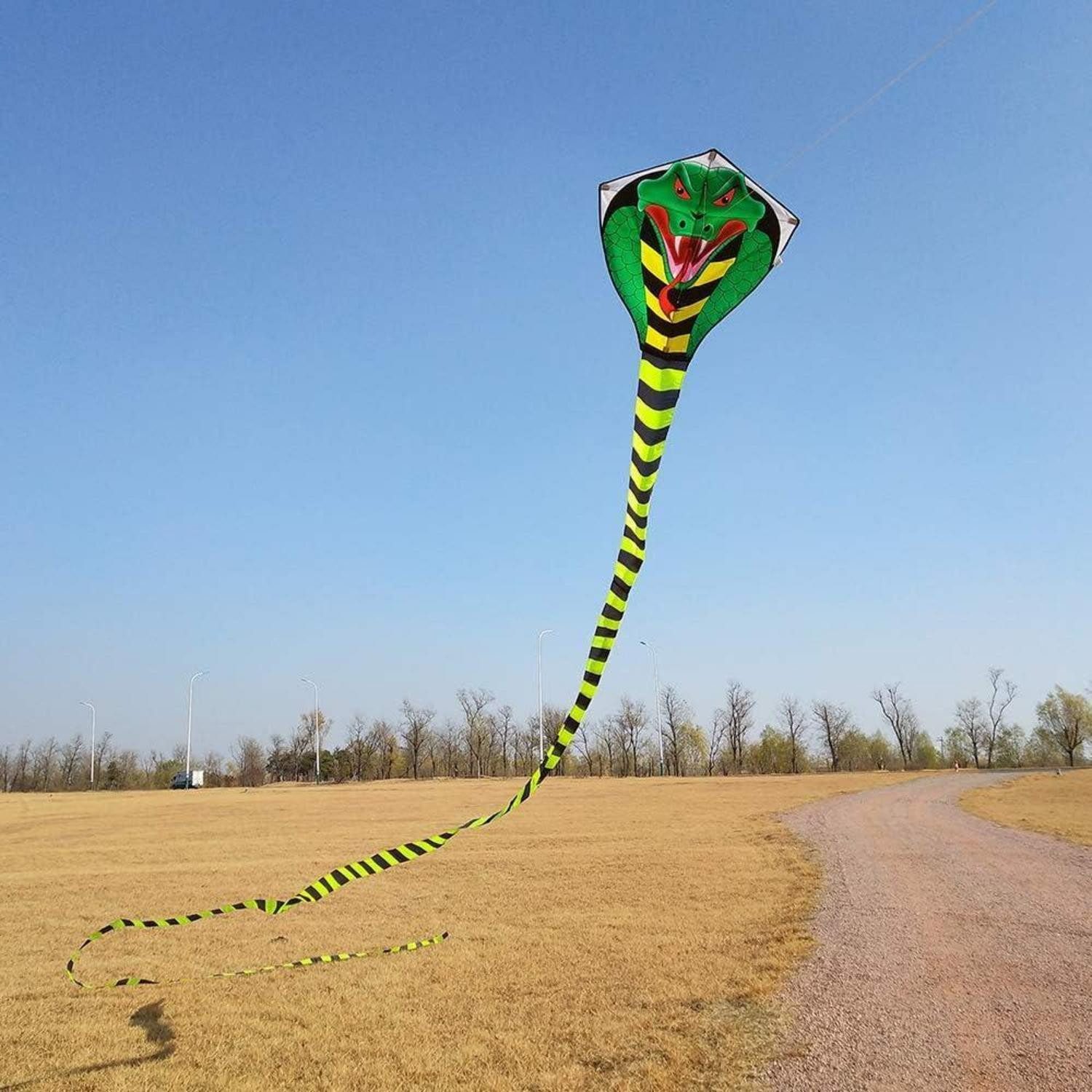 LuxusKollektion Flug-Drache Colorful Kobra-Drachen für Kinder und Erwachsene, 49ft Groß mit langem