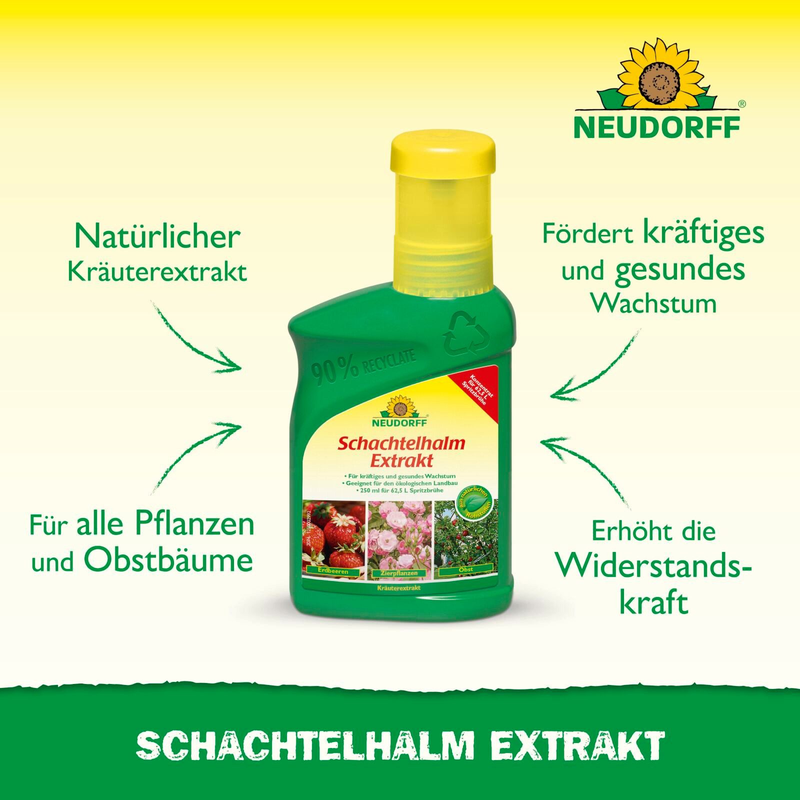Neudorff Pflanzenstärkungsmittel Schachtelhalm Extrakt 250 ml