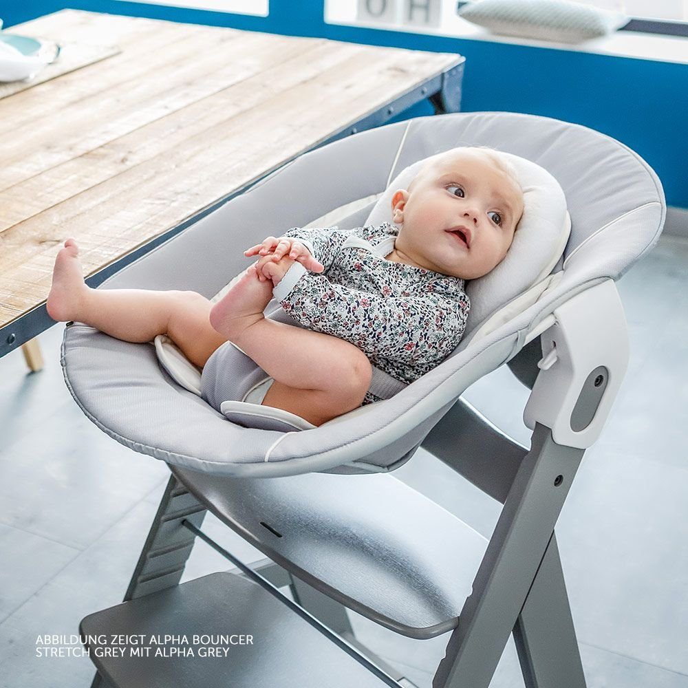 Hauck Hochstuhl Alpha Plus Grau 4 Aufsatz Sitzpolster Babystuhl inkl. St), ab (Set, Newborn Geburt & - Holz Set für Neugeborene