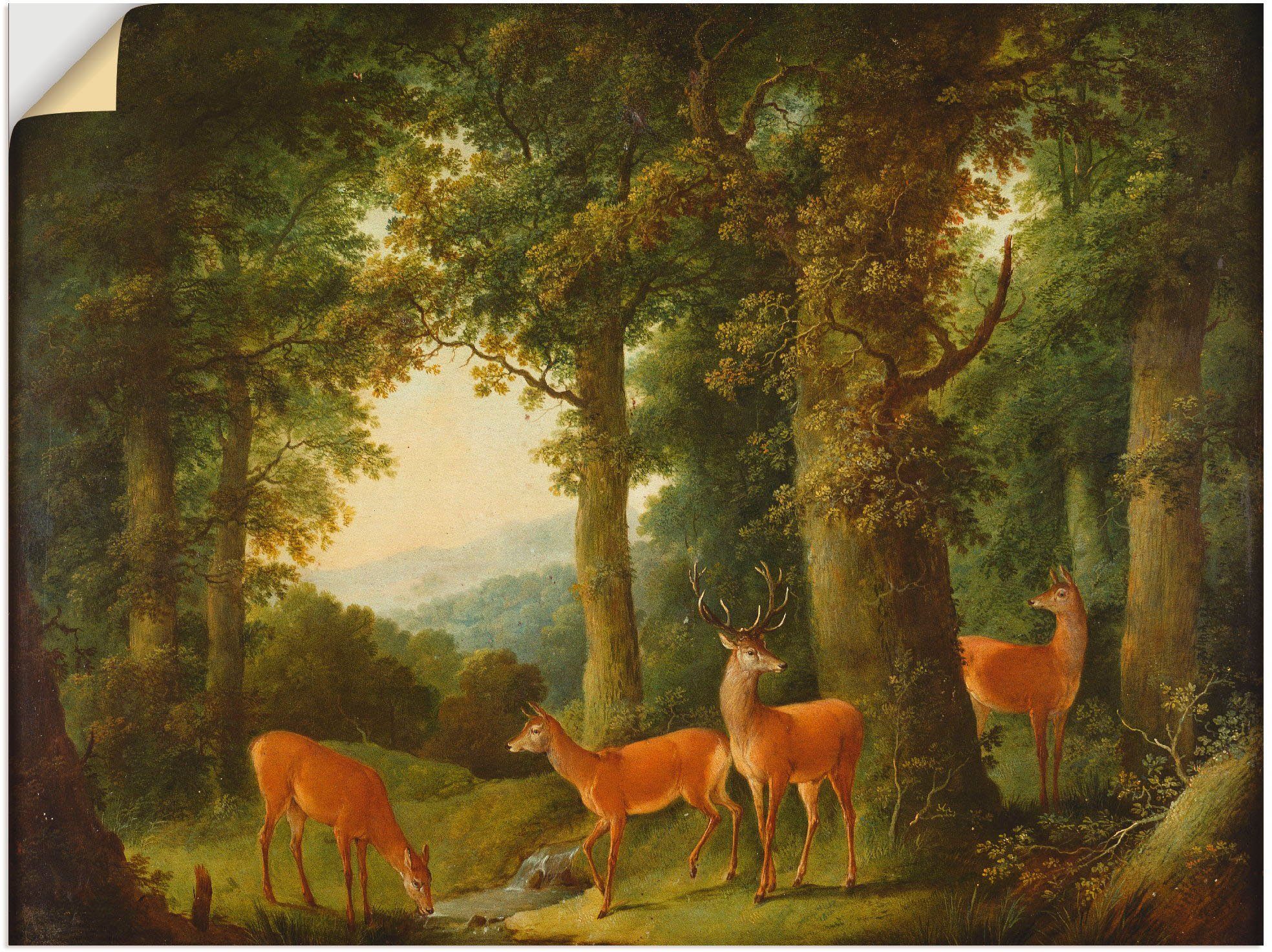 in Poster Wald St), Wandaufkleber versch. mit (1 1760/70, oder Größen Um Rotwild. Waldlandschaft Artland als Wandbild Leinwandbild,
