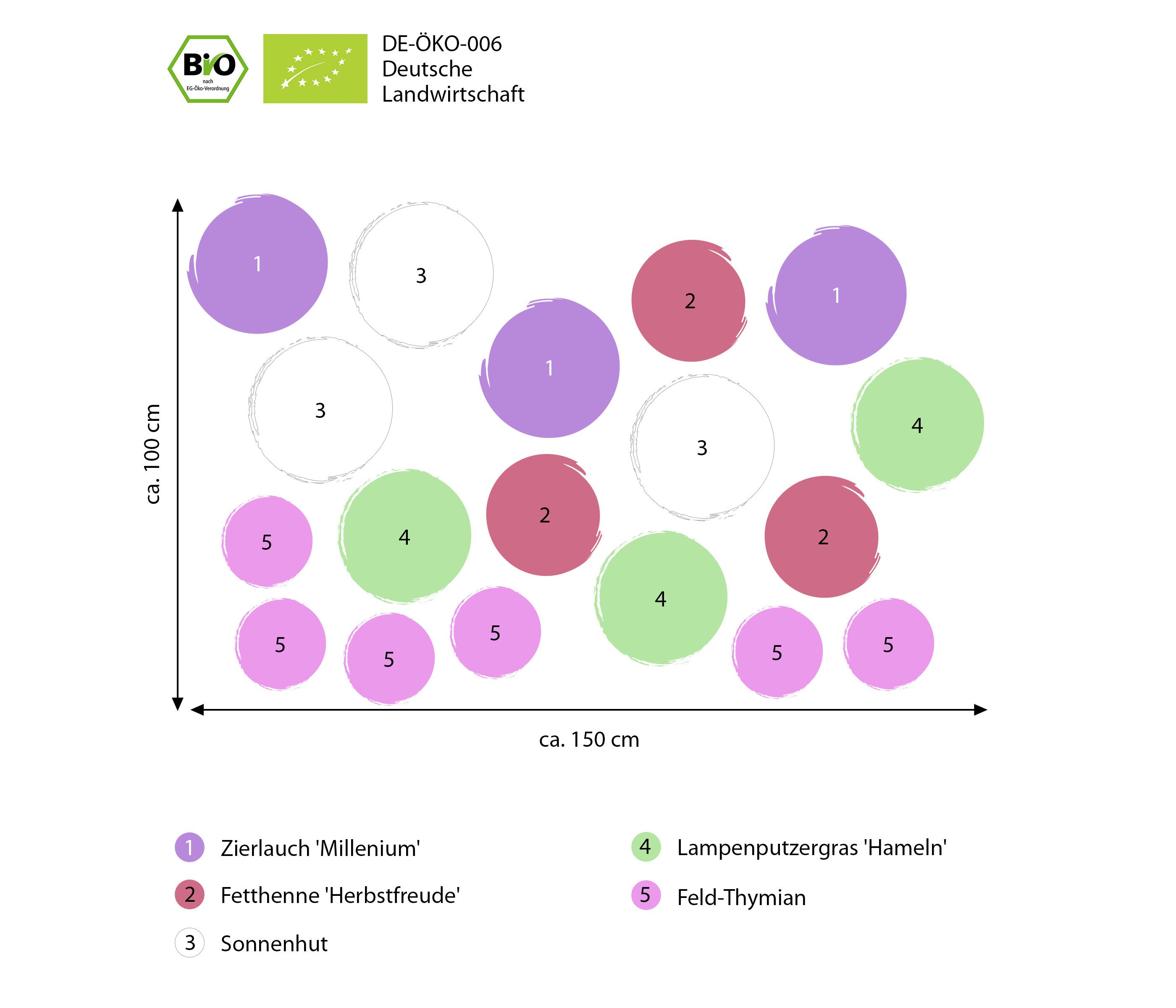 Dehner Staude Bio Stauden-Set Sonnenzeit, je 5-20 cm, Ø Topf je 9 cm, exklusive Landlust Kollektion mit 18 Pflanzen für sonnige Standorte