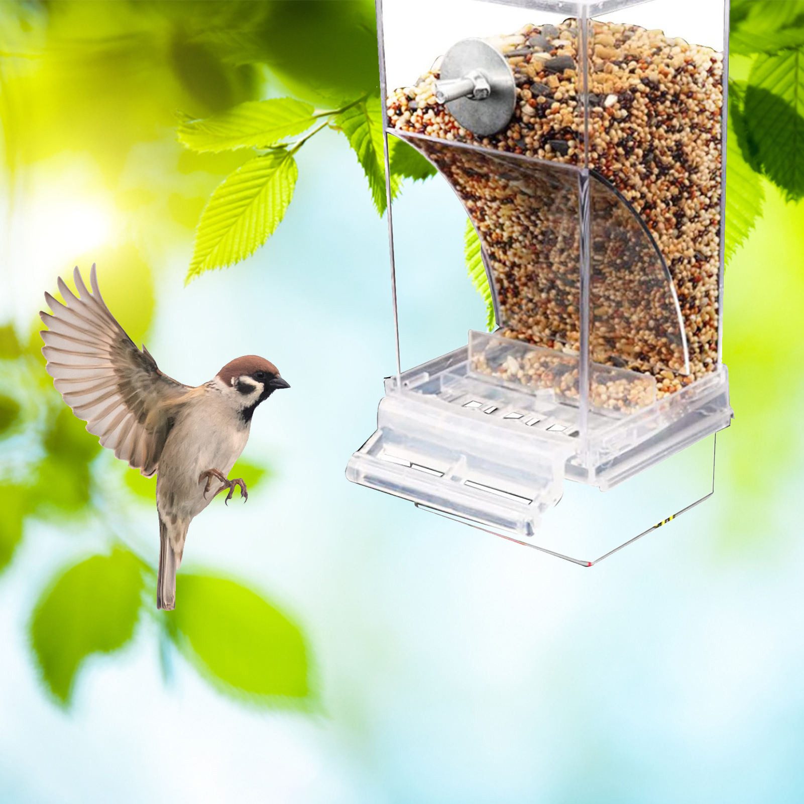Vellora Futterstation Vogelfutterbox, Spritzschutz, automatischer Vogelfutt günstig online kaufen